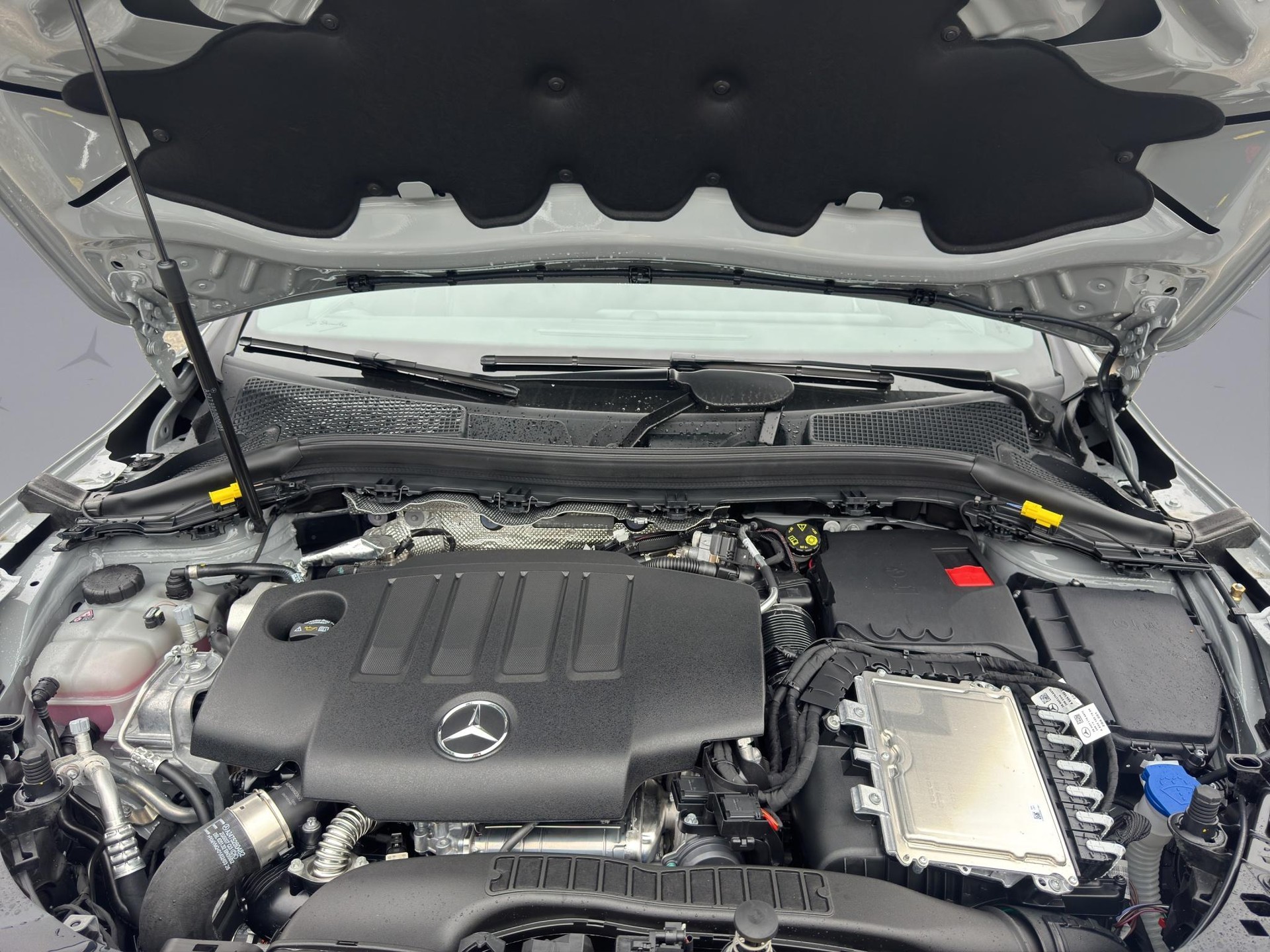 MERCEDES-BENZ GLA 220 d Swiss Star AMG Line 4matic-image-19