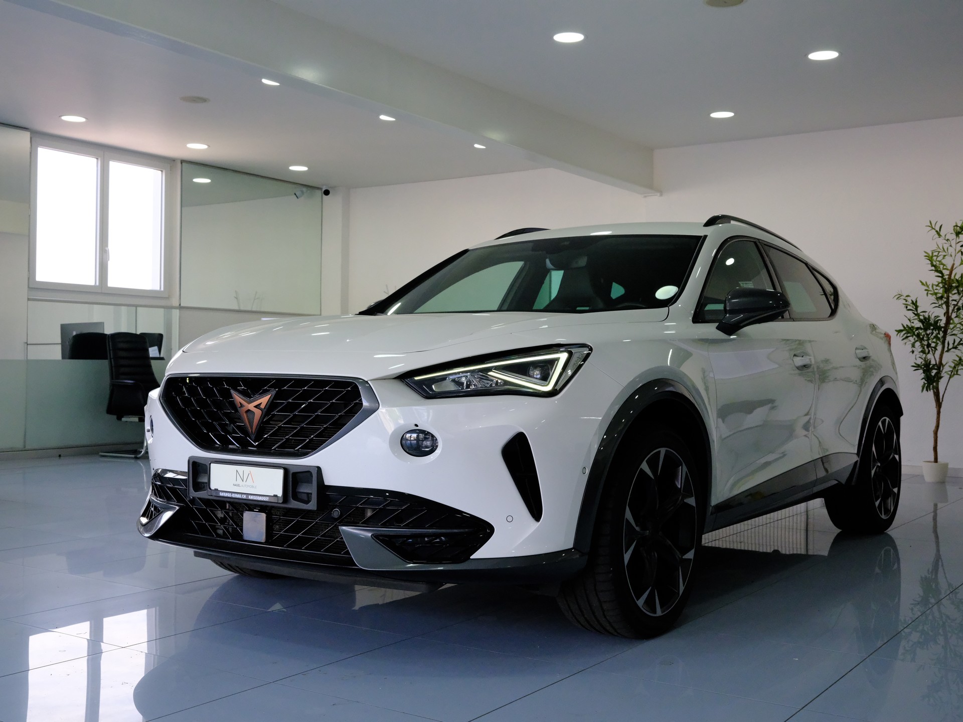 CUPRA Formentor 2.0TSI 4Drive DSG-image-3