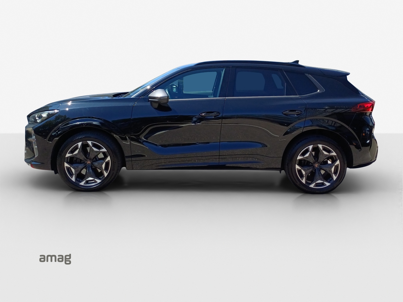 CUPRA Terramar 2.0 TSI DSG 4Drive VZ-image-1