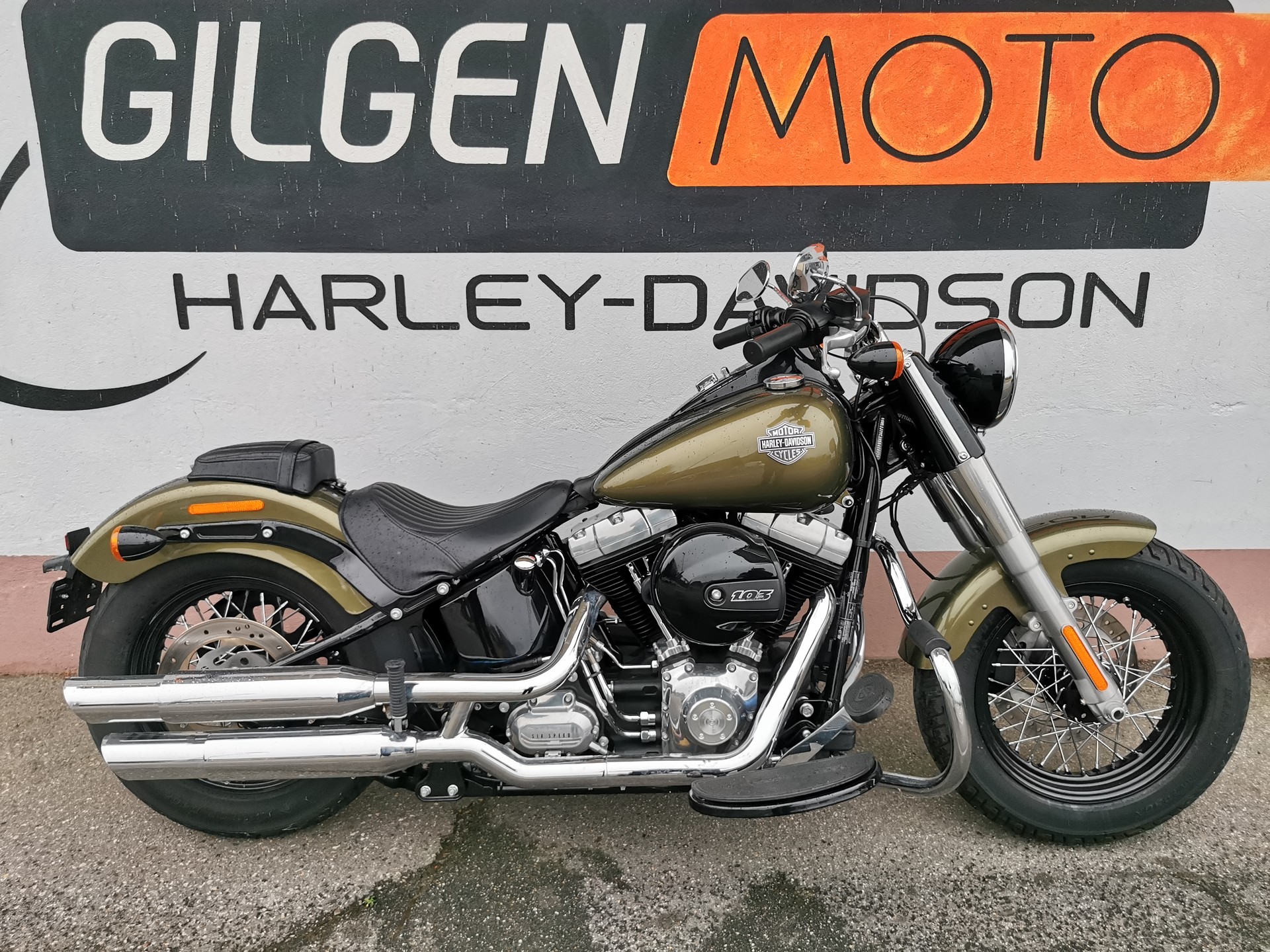HARLEY-DAVIDSON FLS Softail Slim ABS