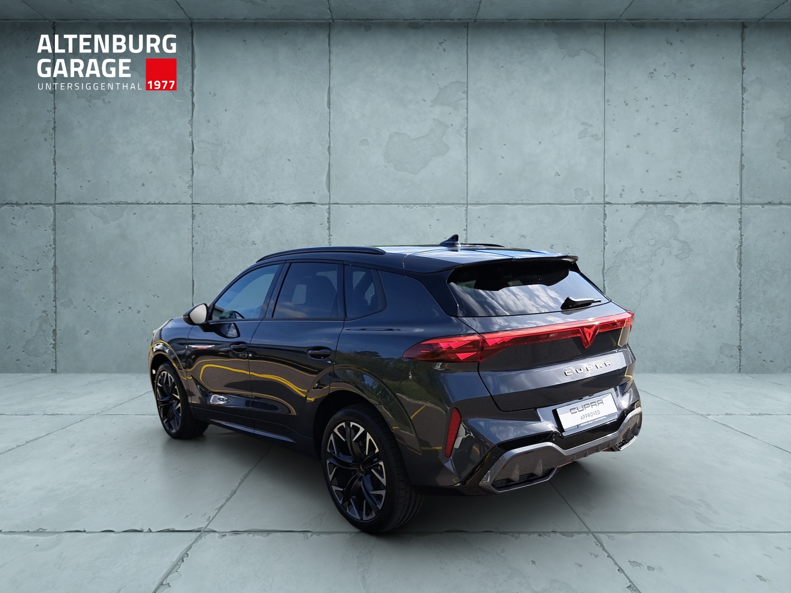 CUPRA Terramar 2.0 TSI VZ 4Drive DSG-showroom-element-2