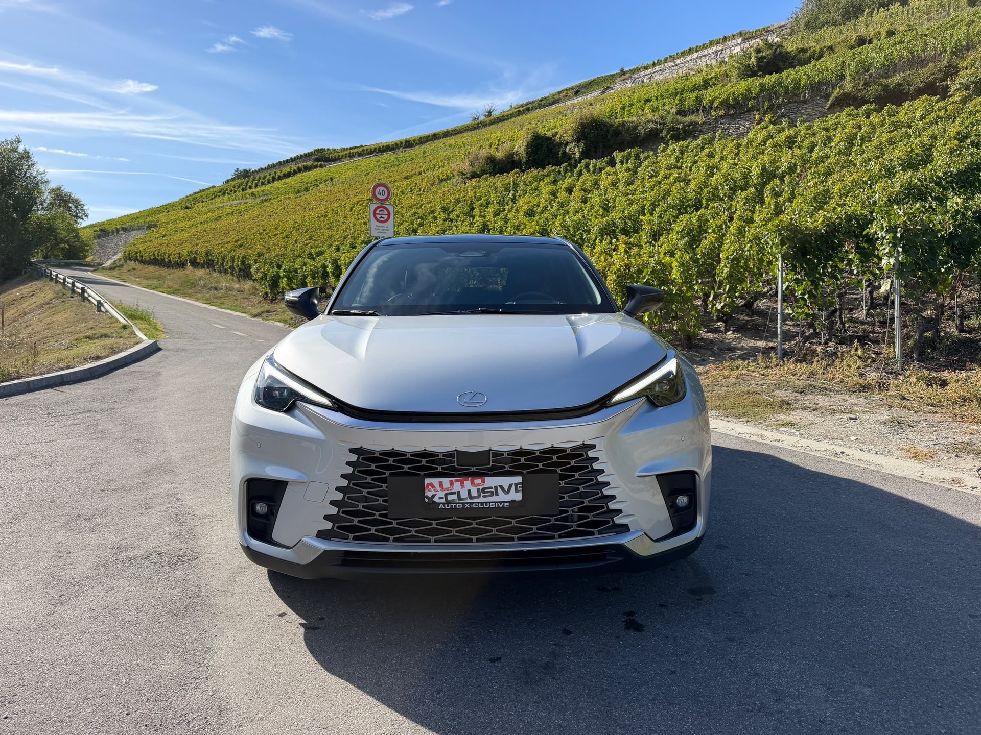 LEXUS 1.5 Hybrid Cool AWD-image-1