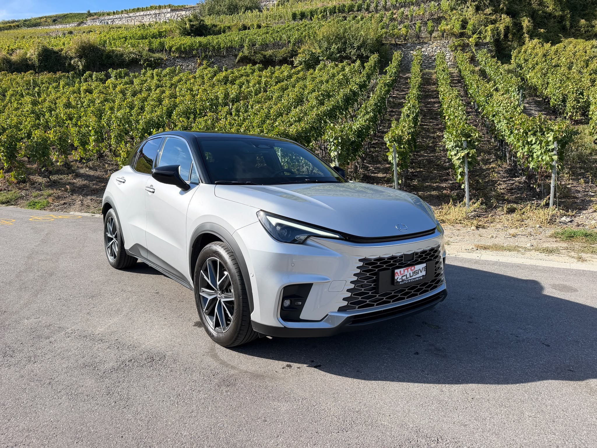 Car photo