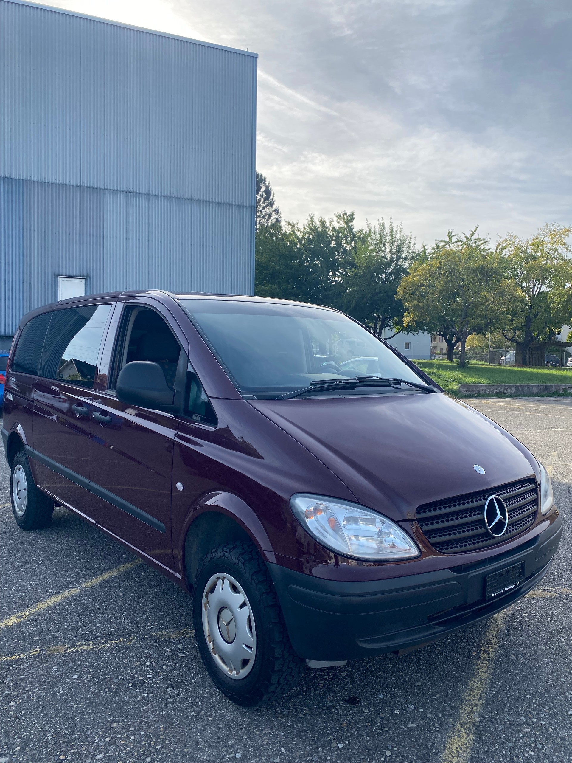 MERCEDES-BENZ Vito 115 CDI 4x4-image-4