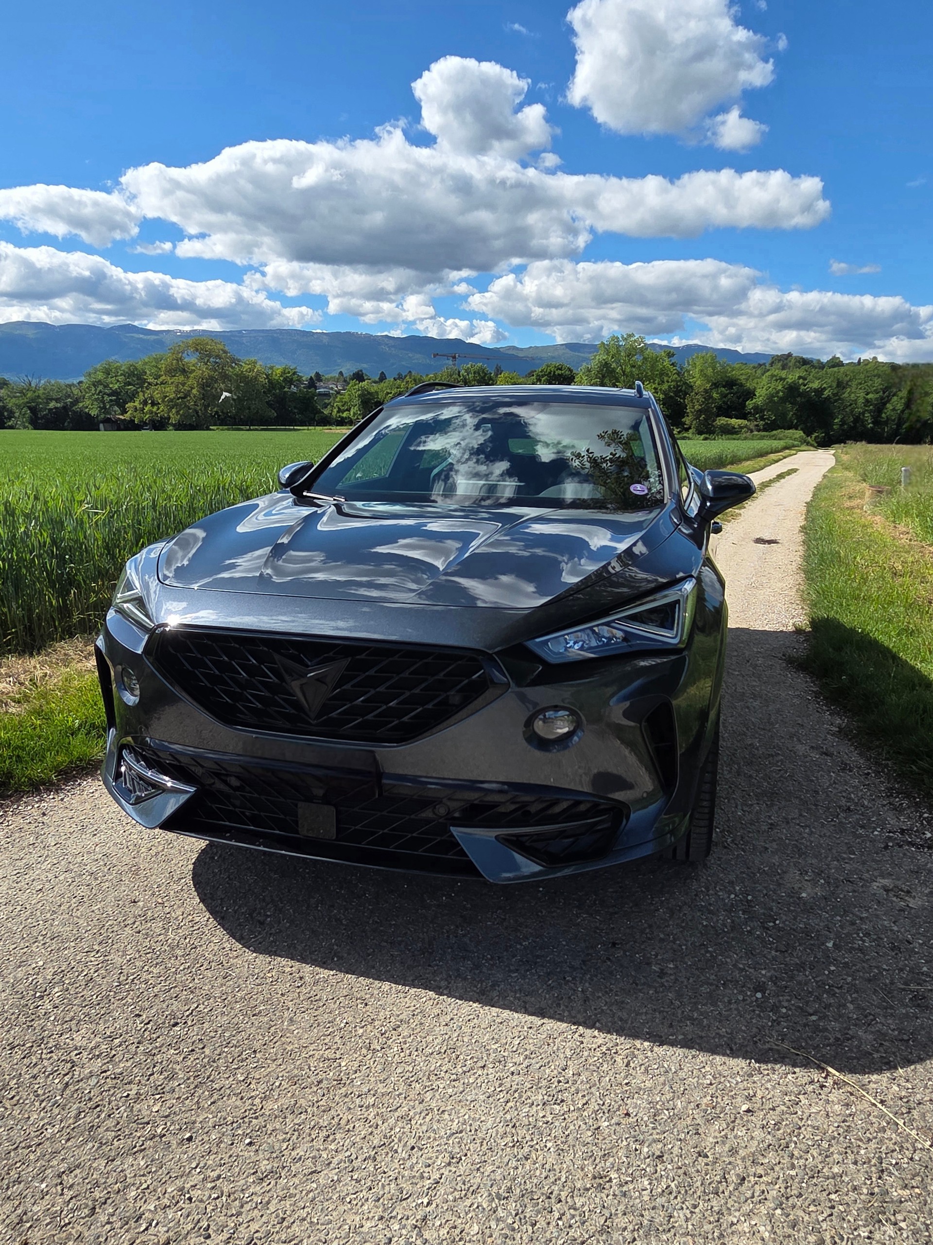 CUPRA 2.0 TSI VZ DSG-image-0