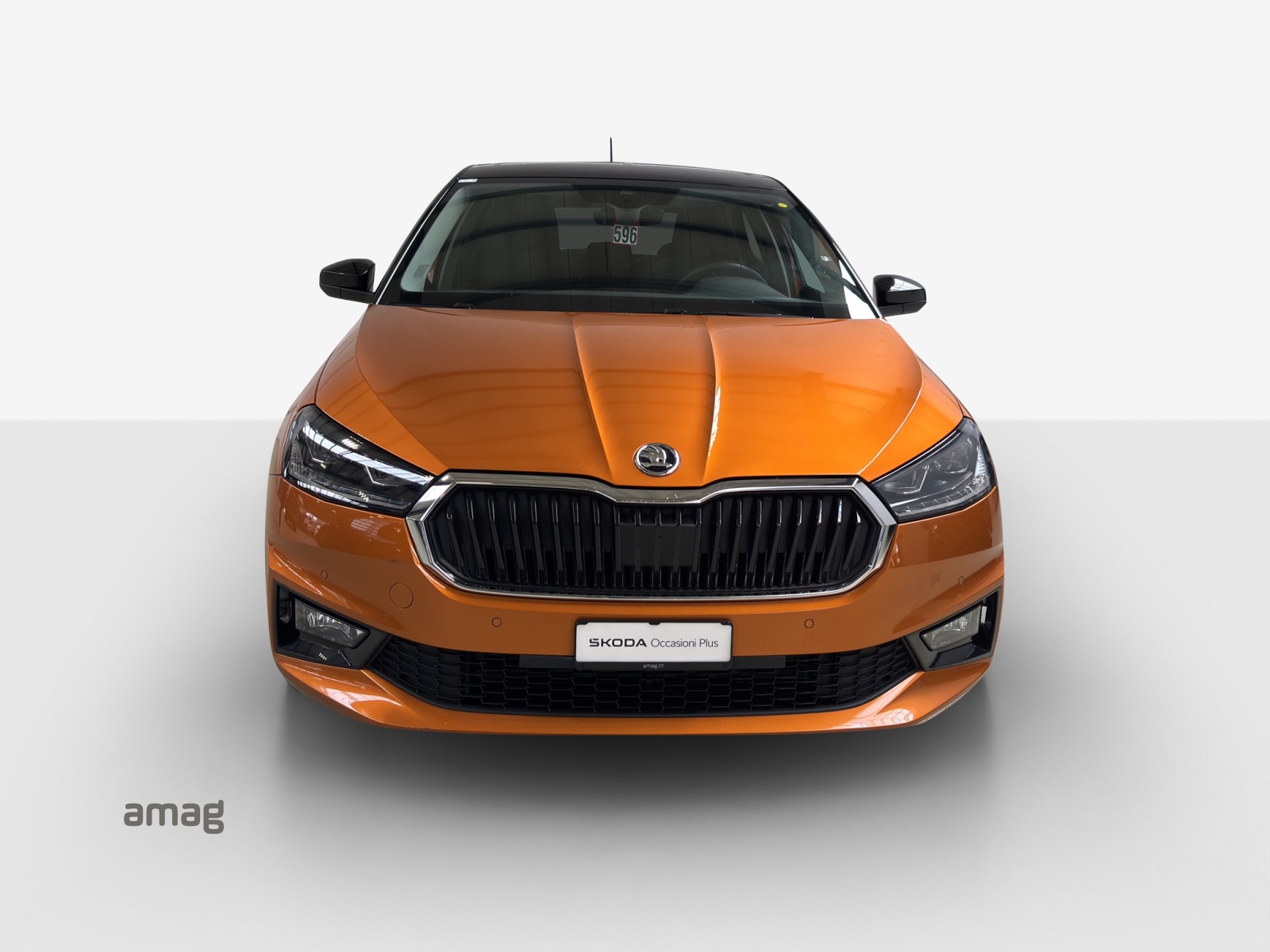 SKODA Fabia 1.0 TSI First Edition DSG-image-6