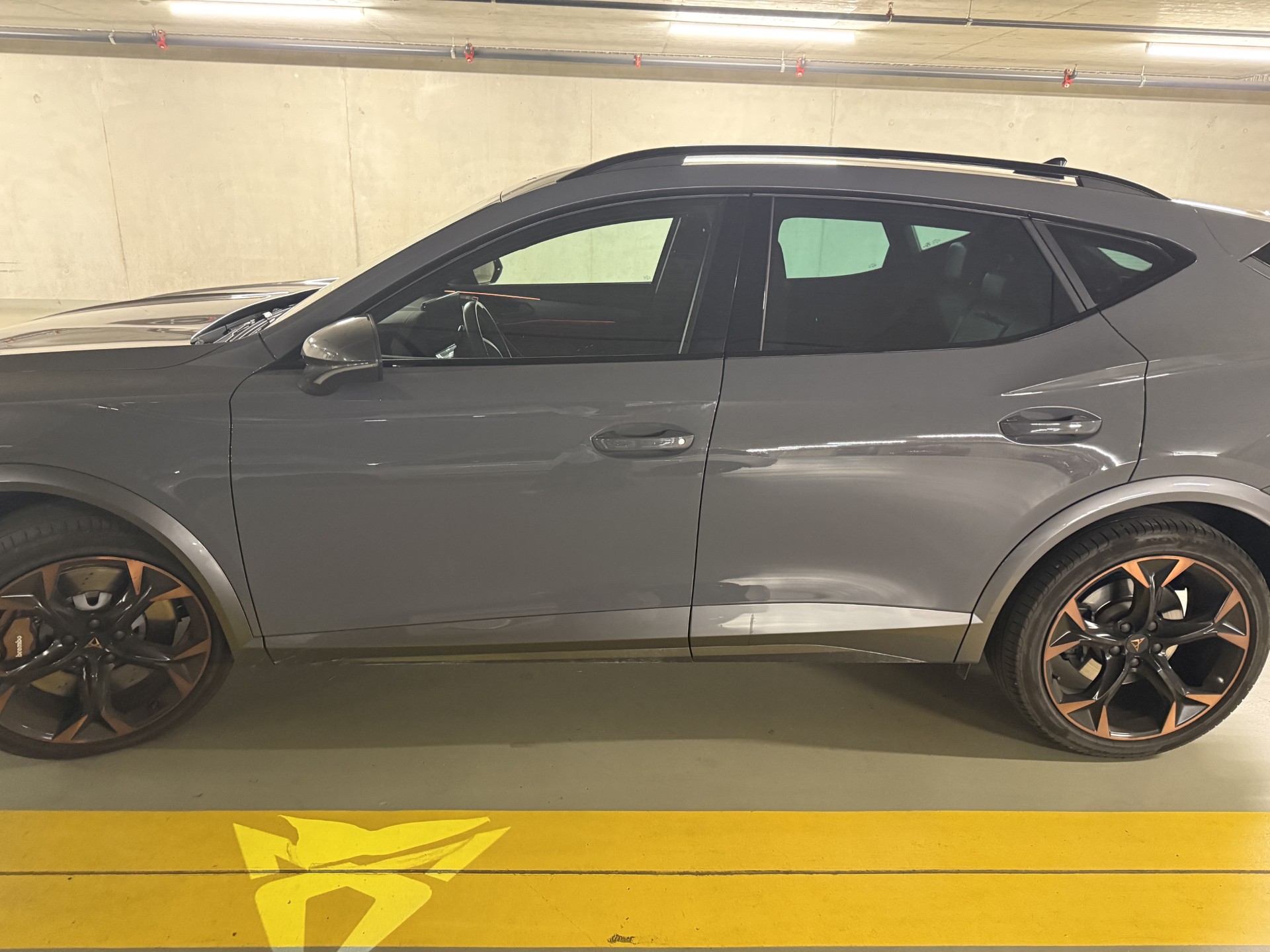 CUPRA 2.0 TSI VZ 4Drive DSG-image-3