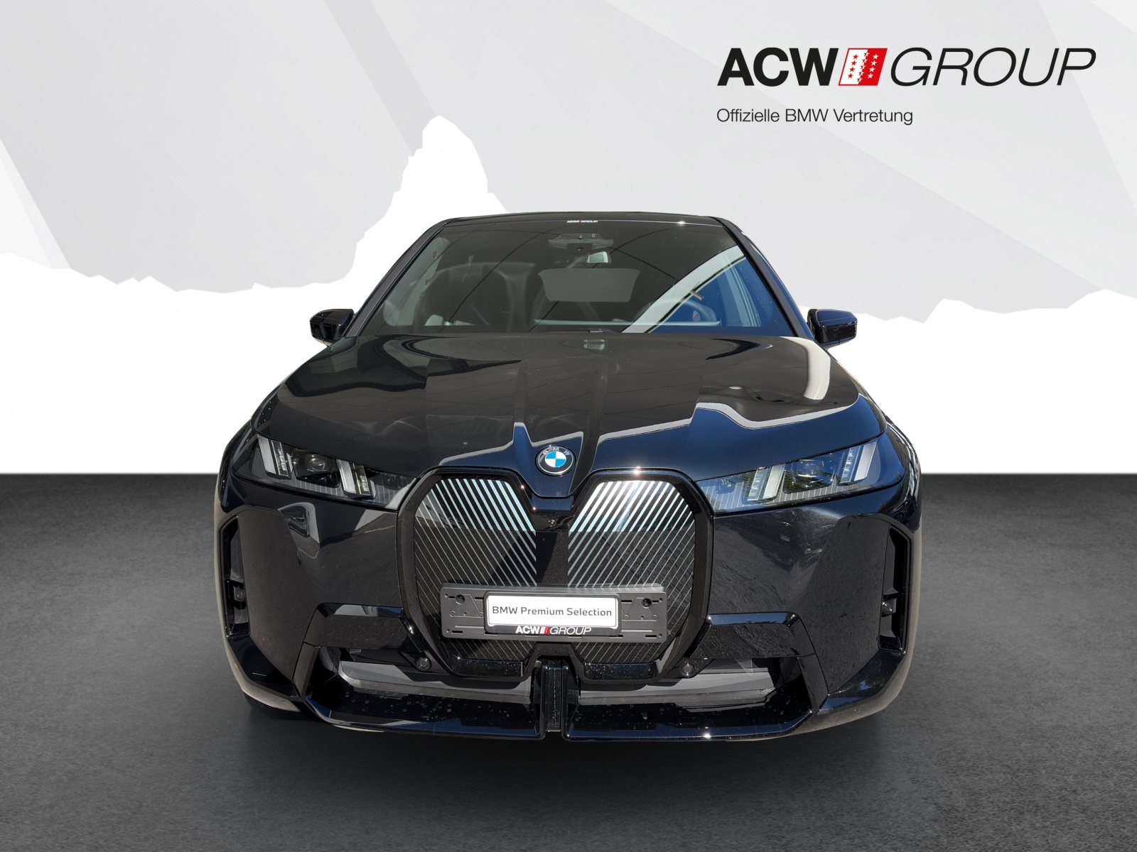 BMW iX xDrive45-image-7