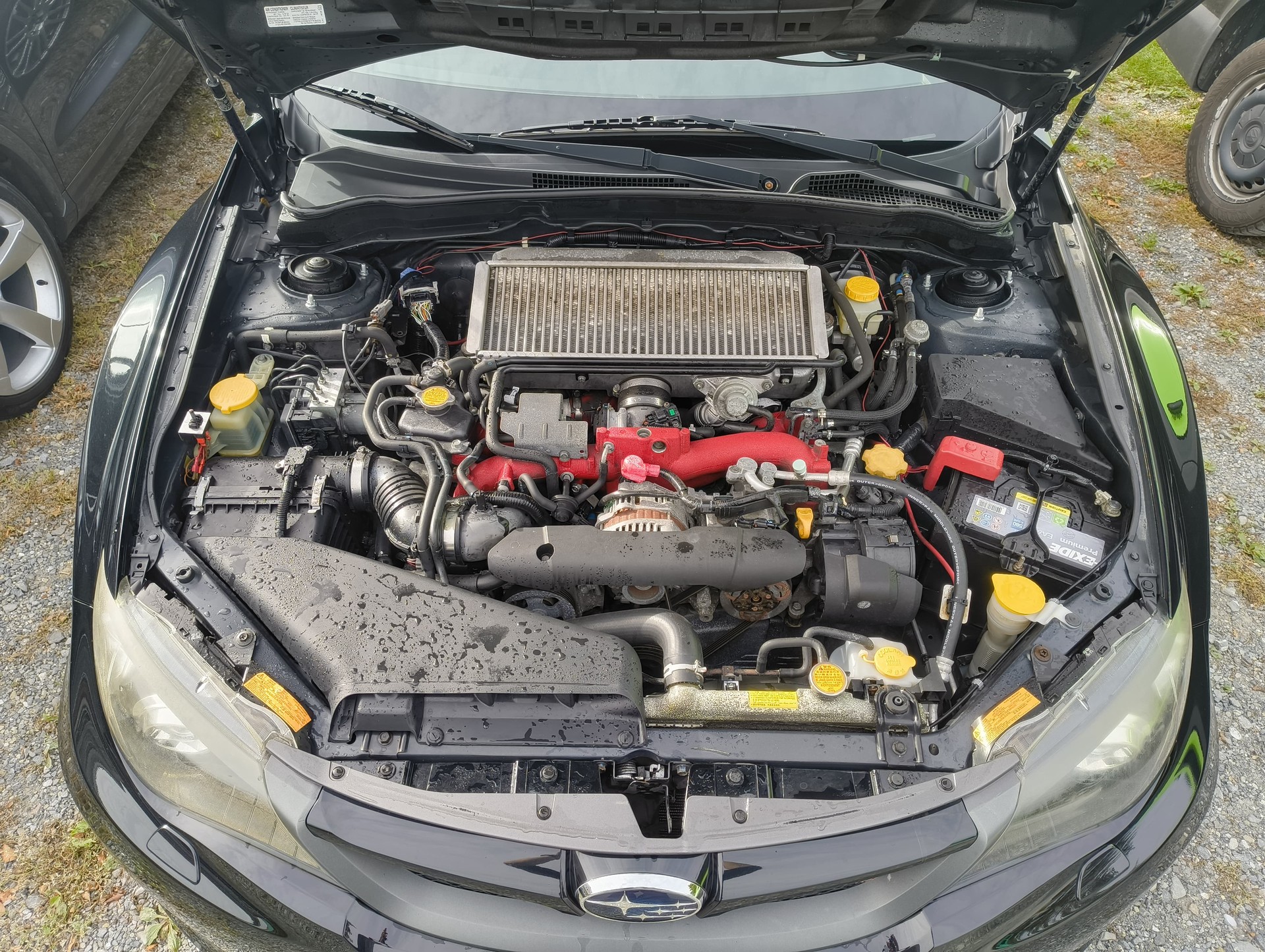 SUBARU 2.5 T Sport-image-4