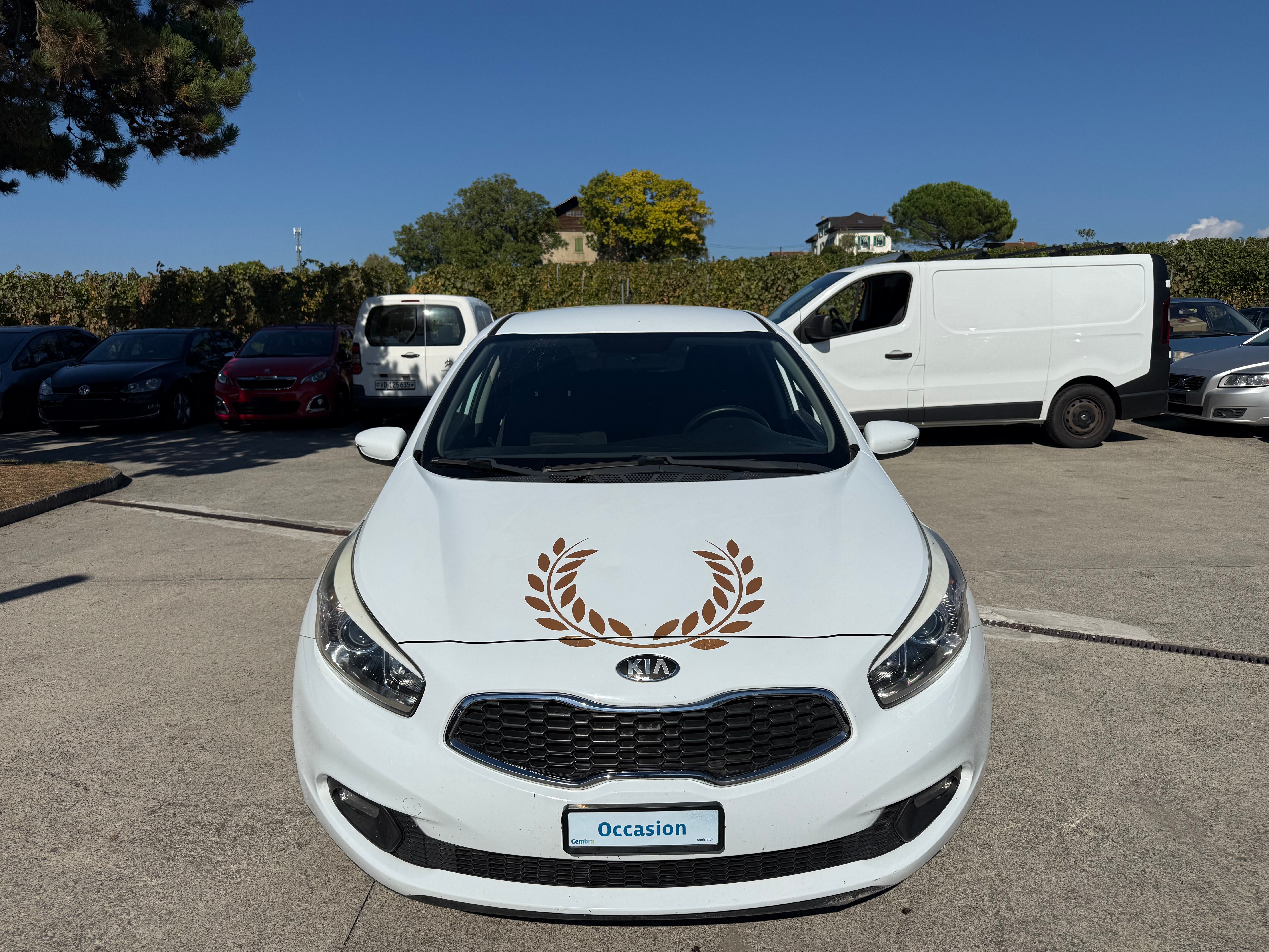 Car photo