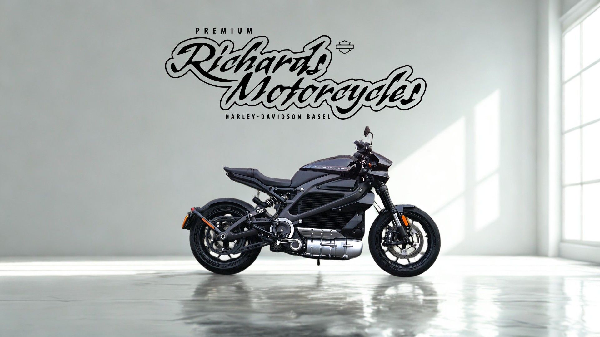 HARLEY-DAVIDSON Live Wire
