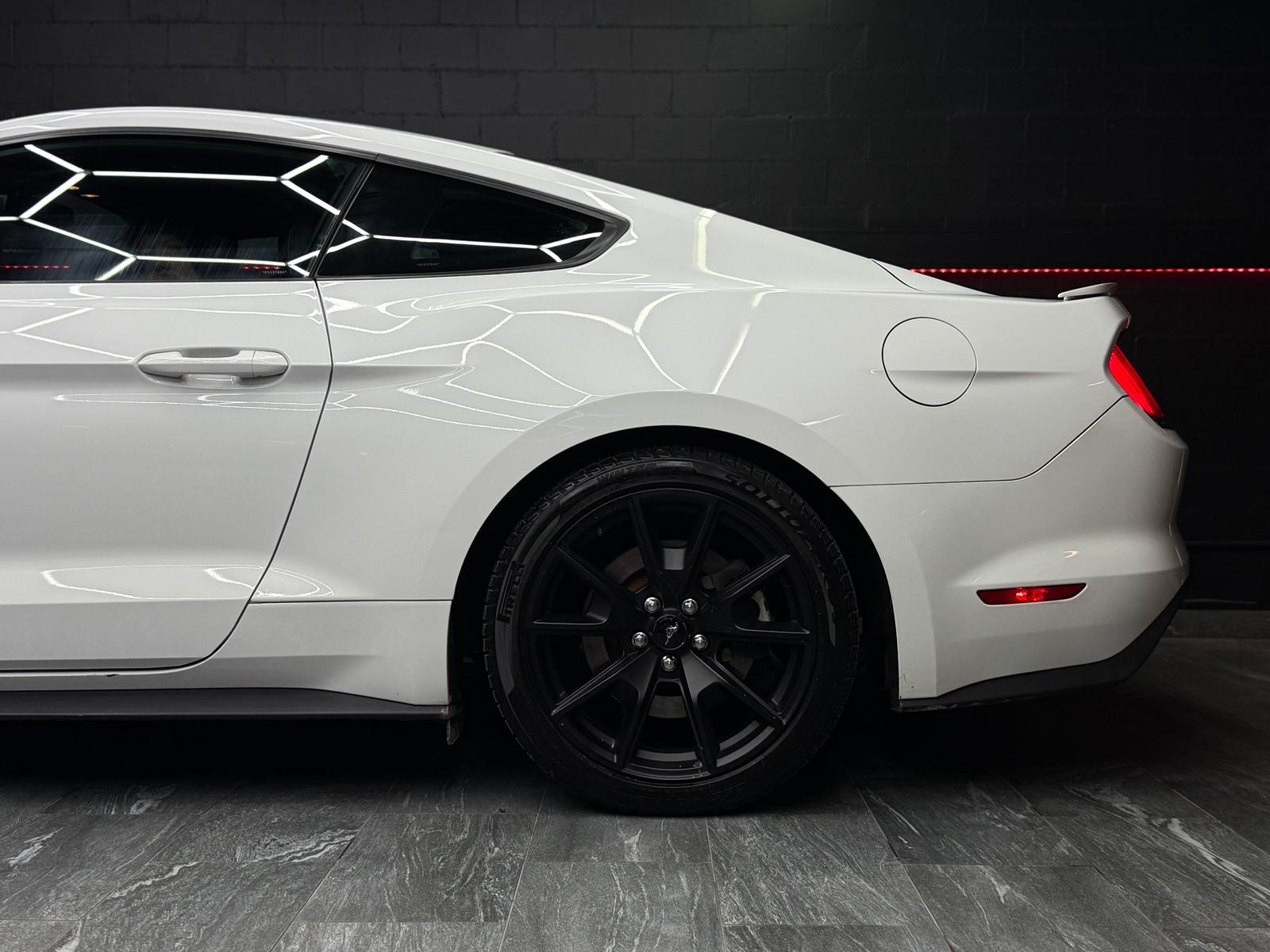 FORD Mustang Fastback 5.0 V8 GT *50 Years Edition*-image-5