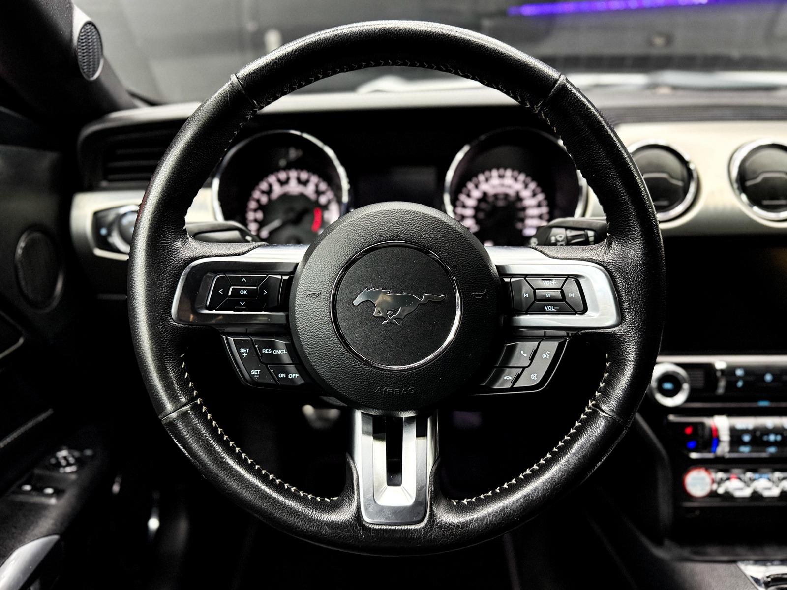 FORD Mustang Fastback 5.0 V8 GT *50 Years Edition*-image-10