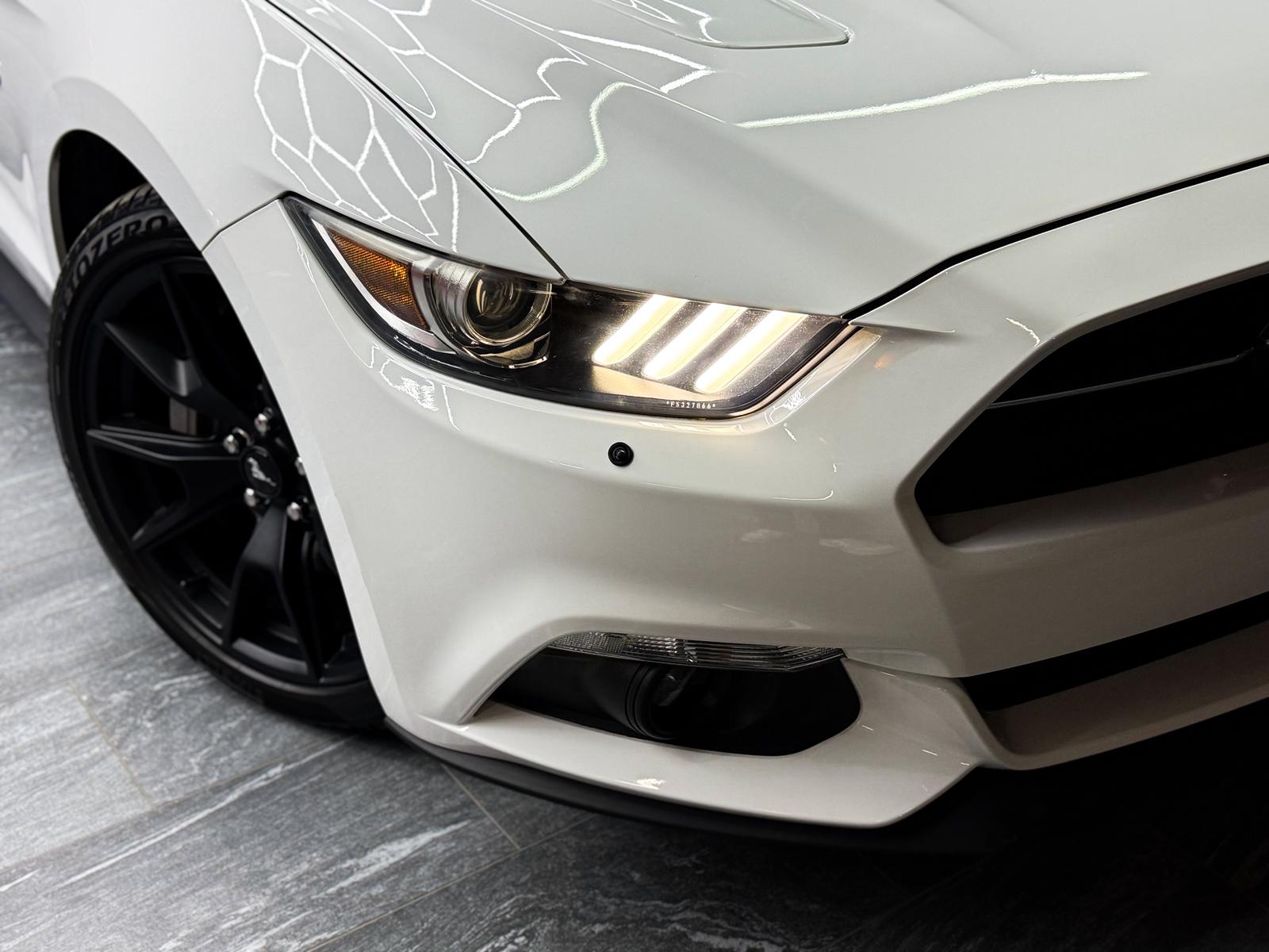 FORD Mustang Fastback 5.0 V8 GT *50 Years Edition*-image-3