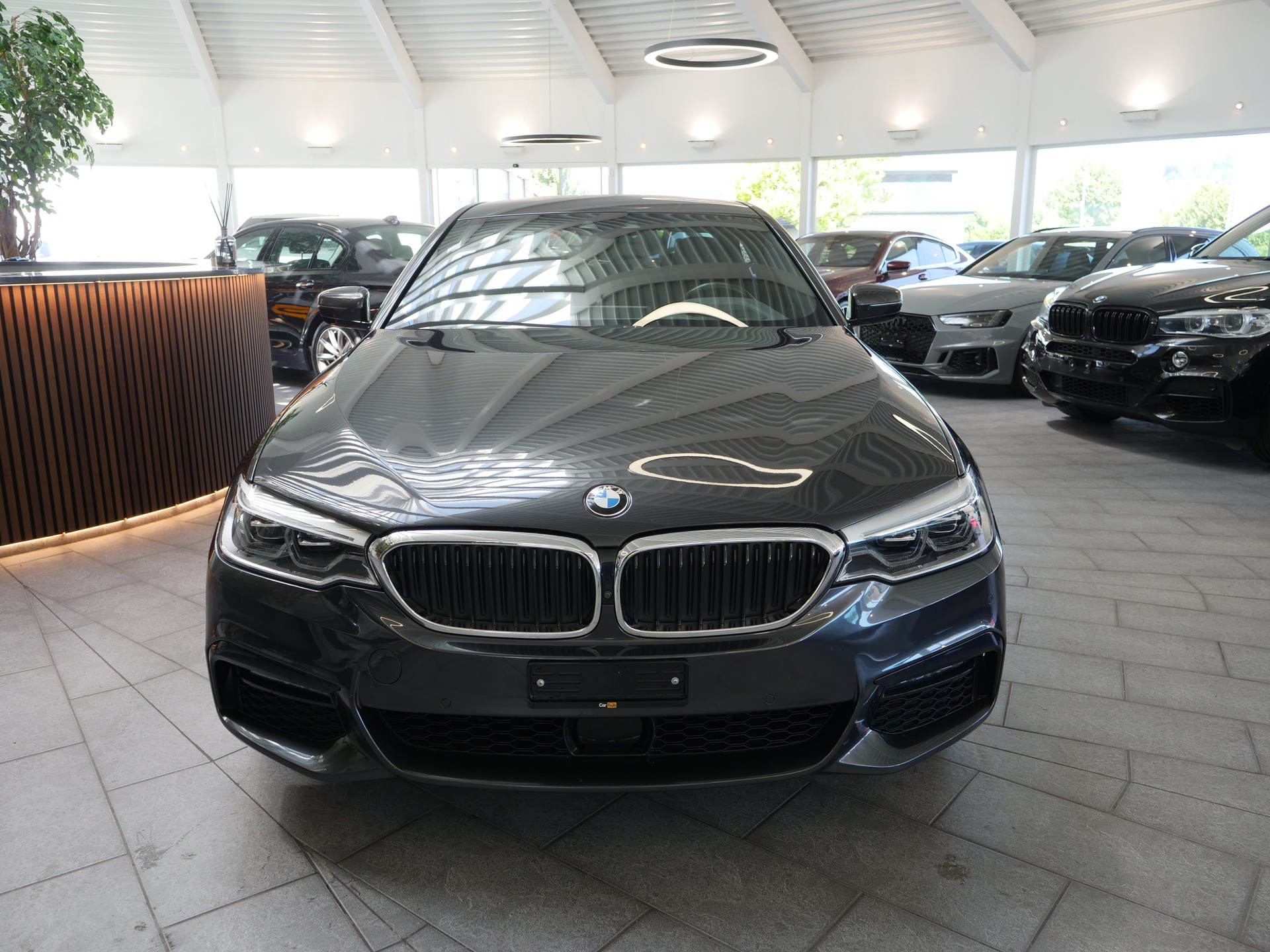 BMW 530d M-SPORTPAKET xDrive-image-5