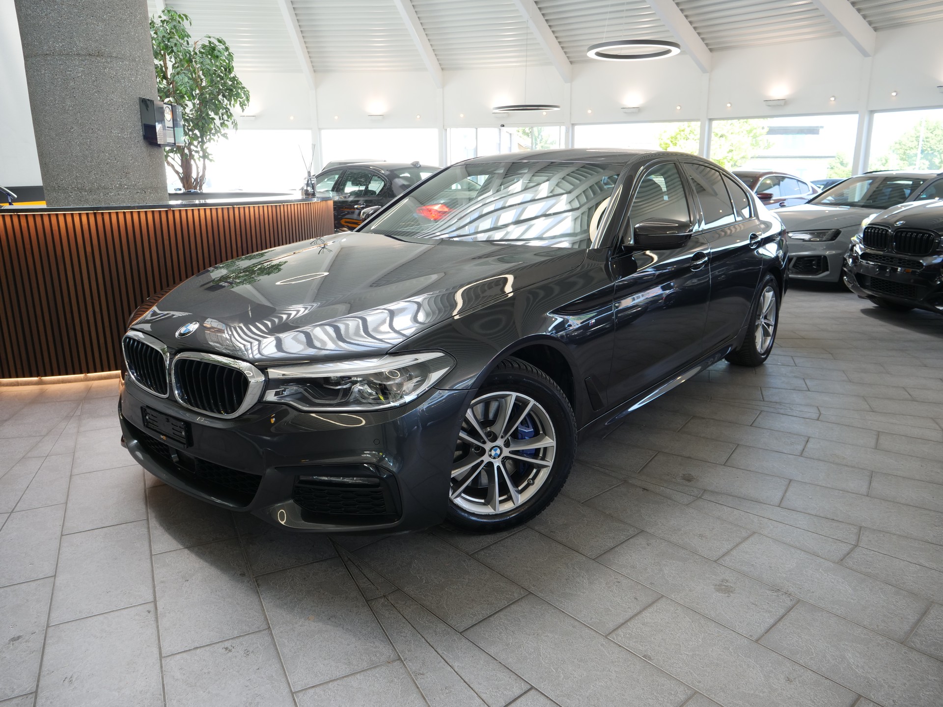 BMW 530d M-SPORTPAKET xDrive-showroom-element-1