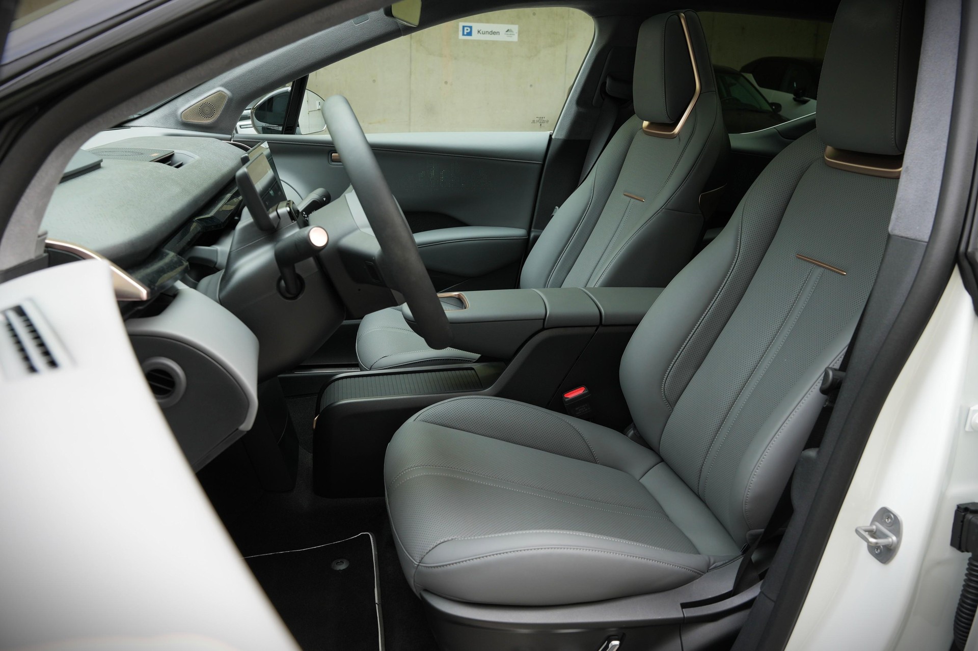ZEEKR X Privilege AWD-image-7