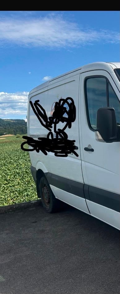 MERCEDES-BENZ Sprinter, 211 cdi-image-7