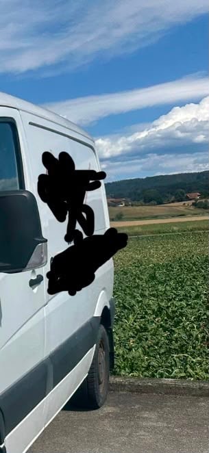 MERCEDES-BENZ Sprinter, 211 cdi-image-2