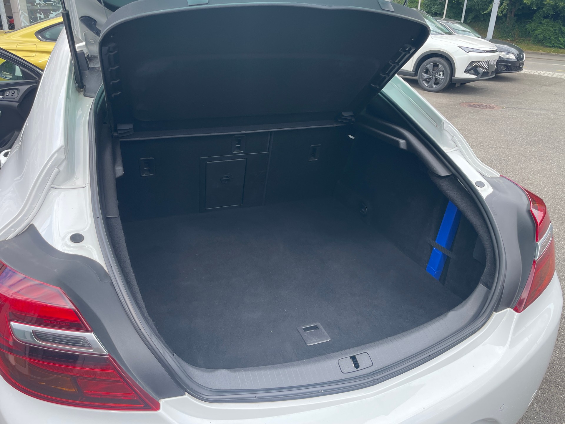 OPEL Insignia 2.8 Turbo OPC 4WD Automatic-image-12