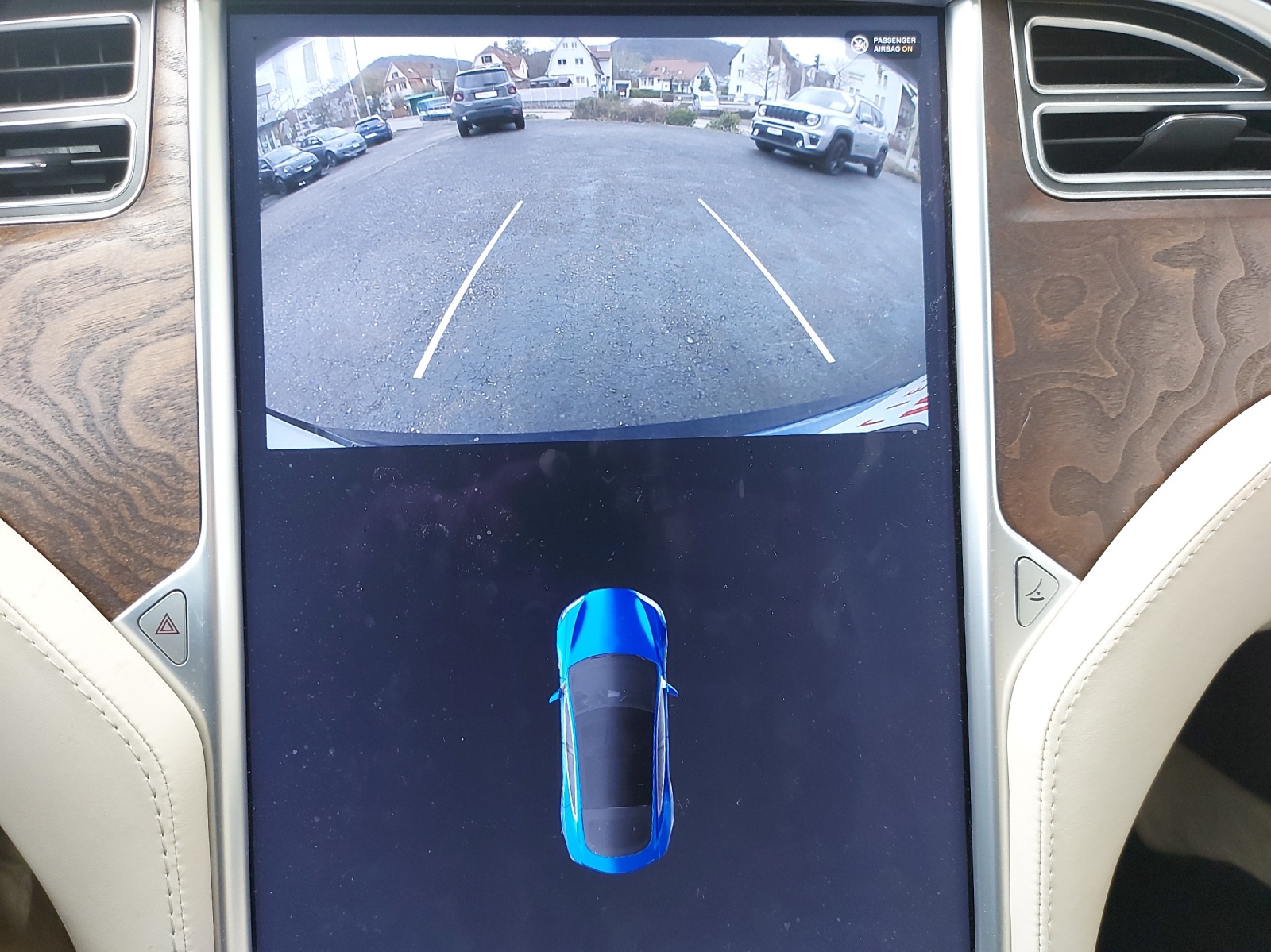 TESLA Model S 100 D-image-9