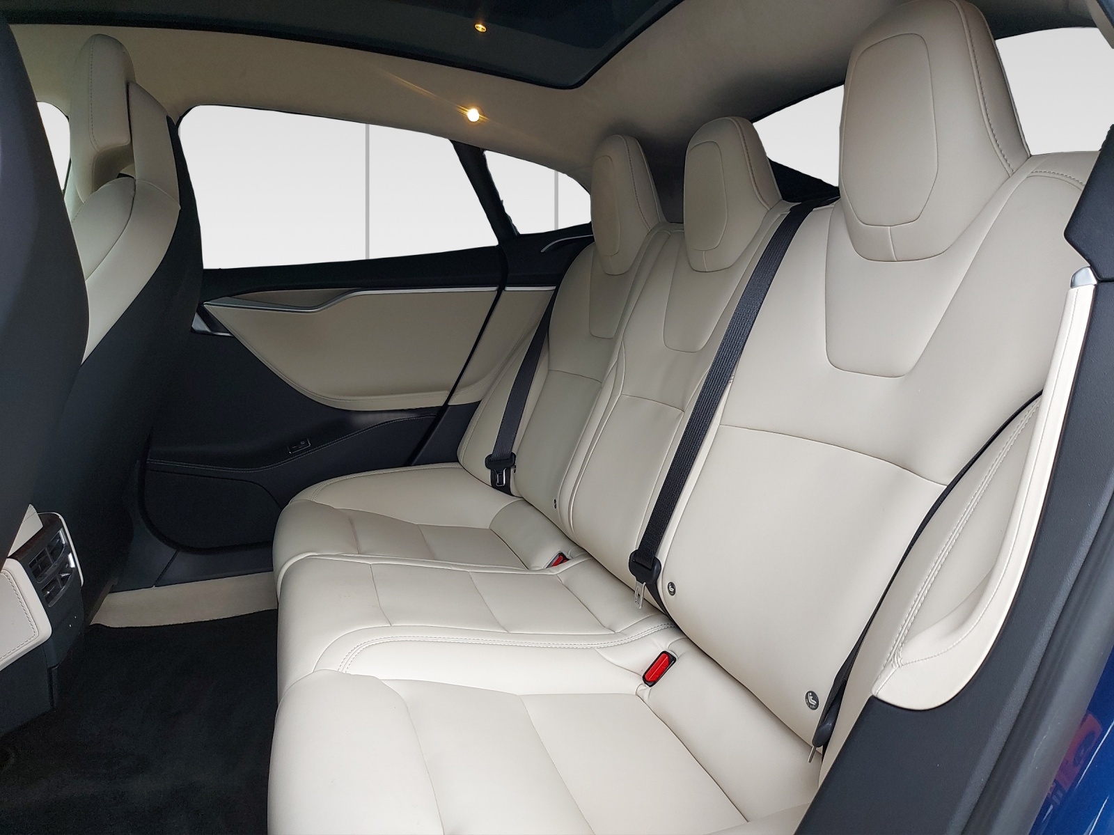 TESLA Model S 100 D-image-14