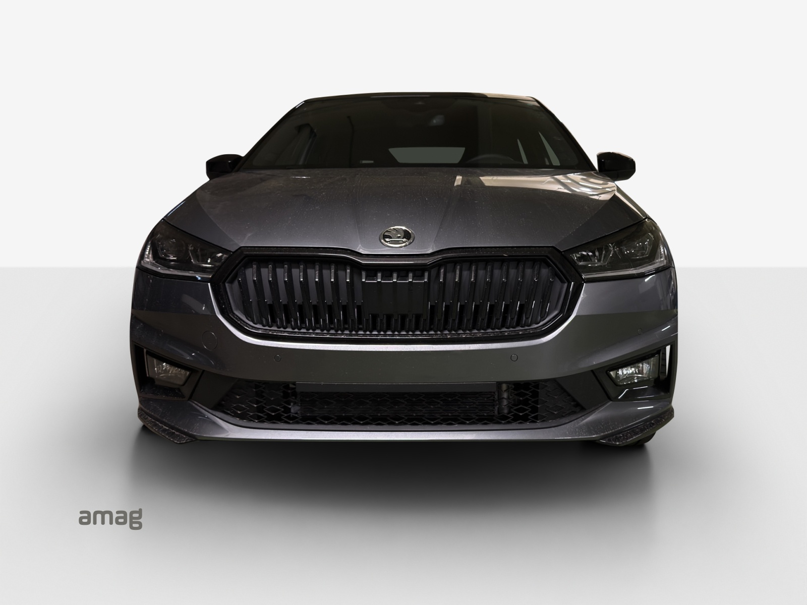 SKODA Fabia 1.0 TSI Monte Carlo DSG-image-6