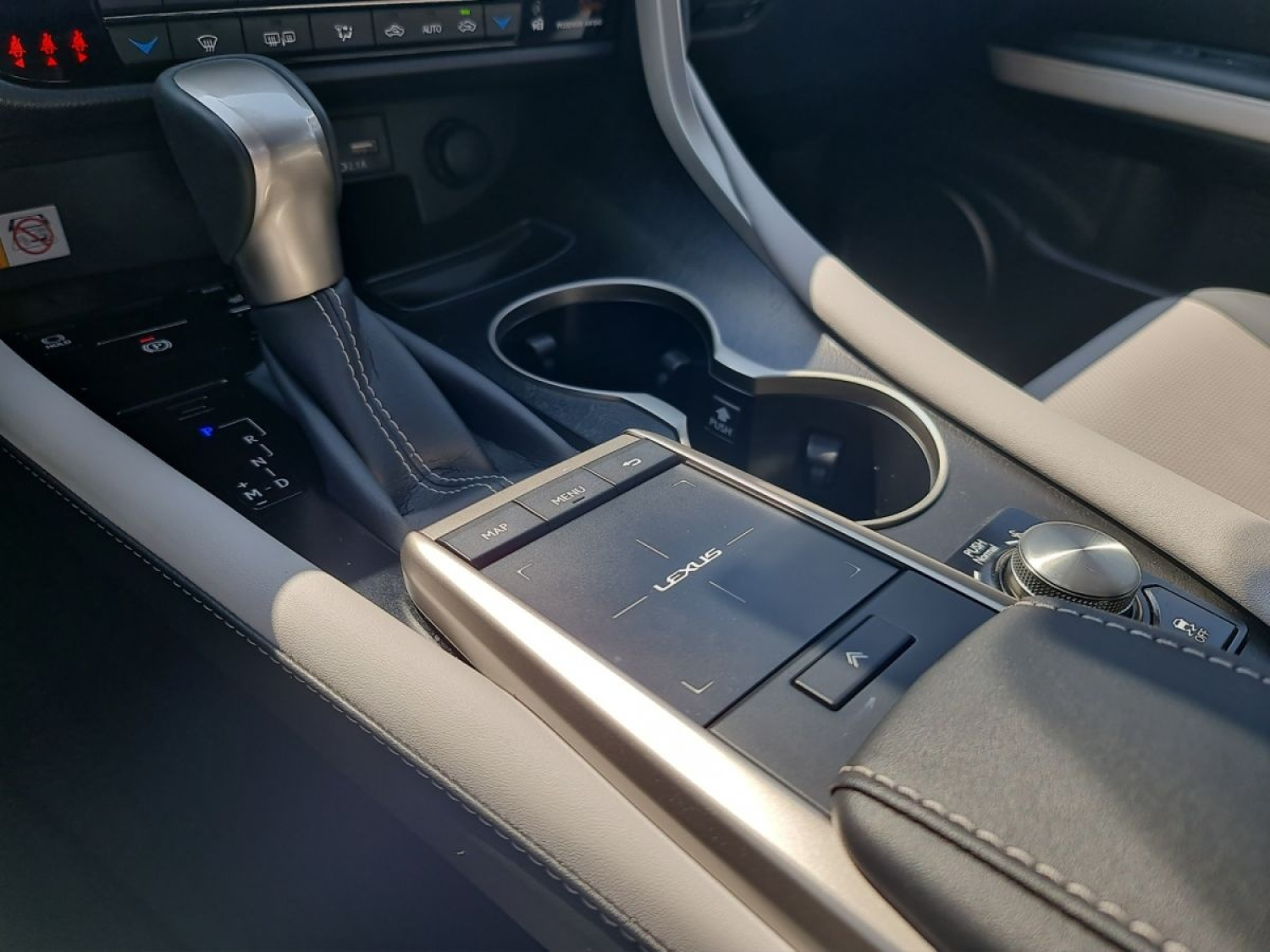 LEXUS RX 300 Special Edition-image-16