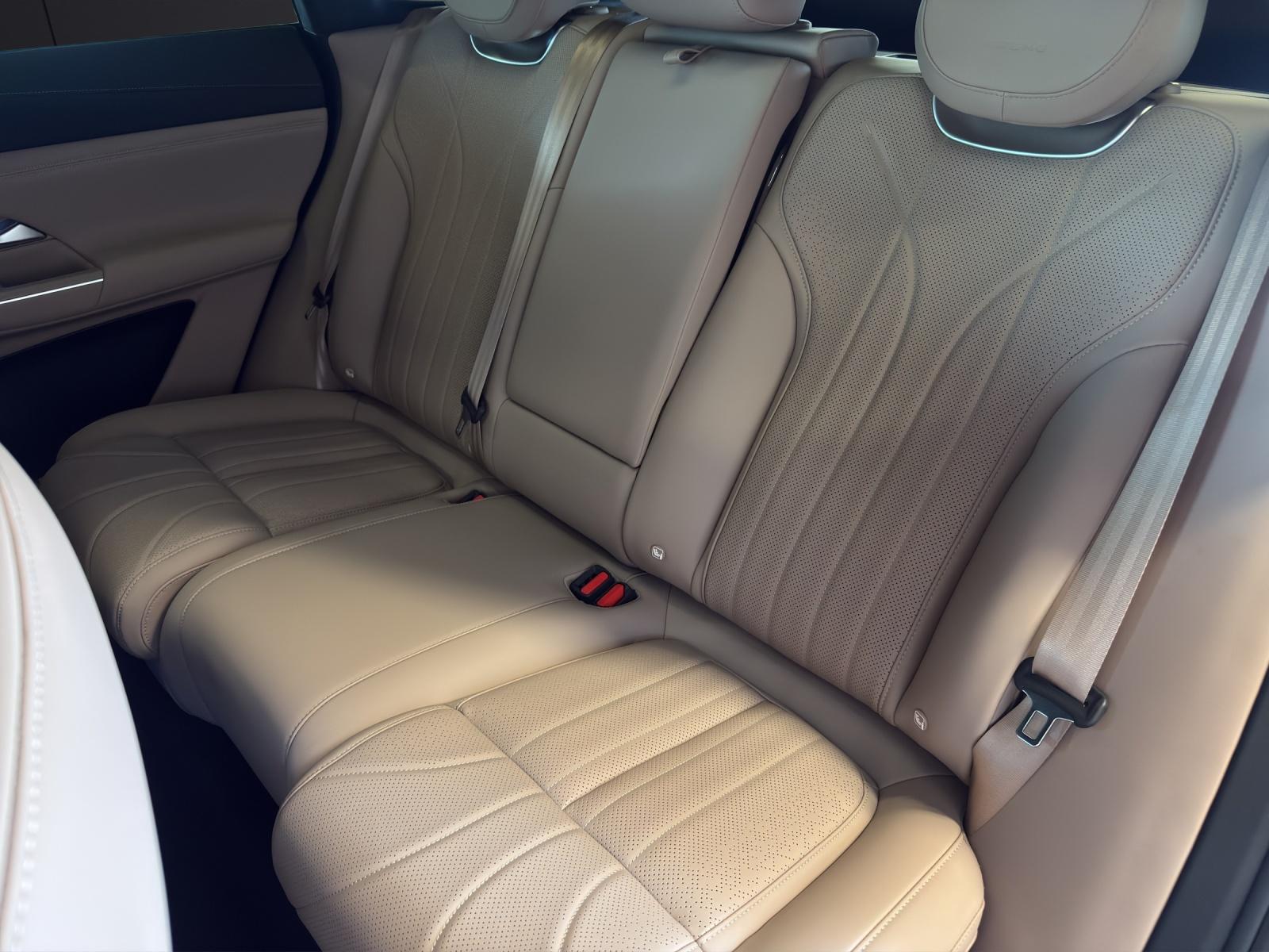 XPENG G9 Performance AWD-image-12
