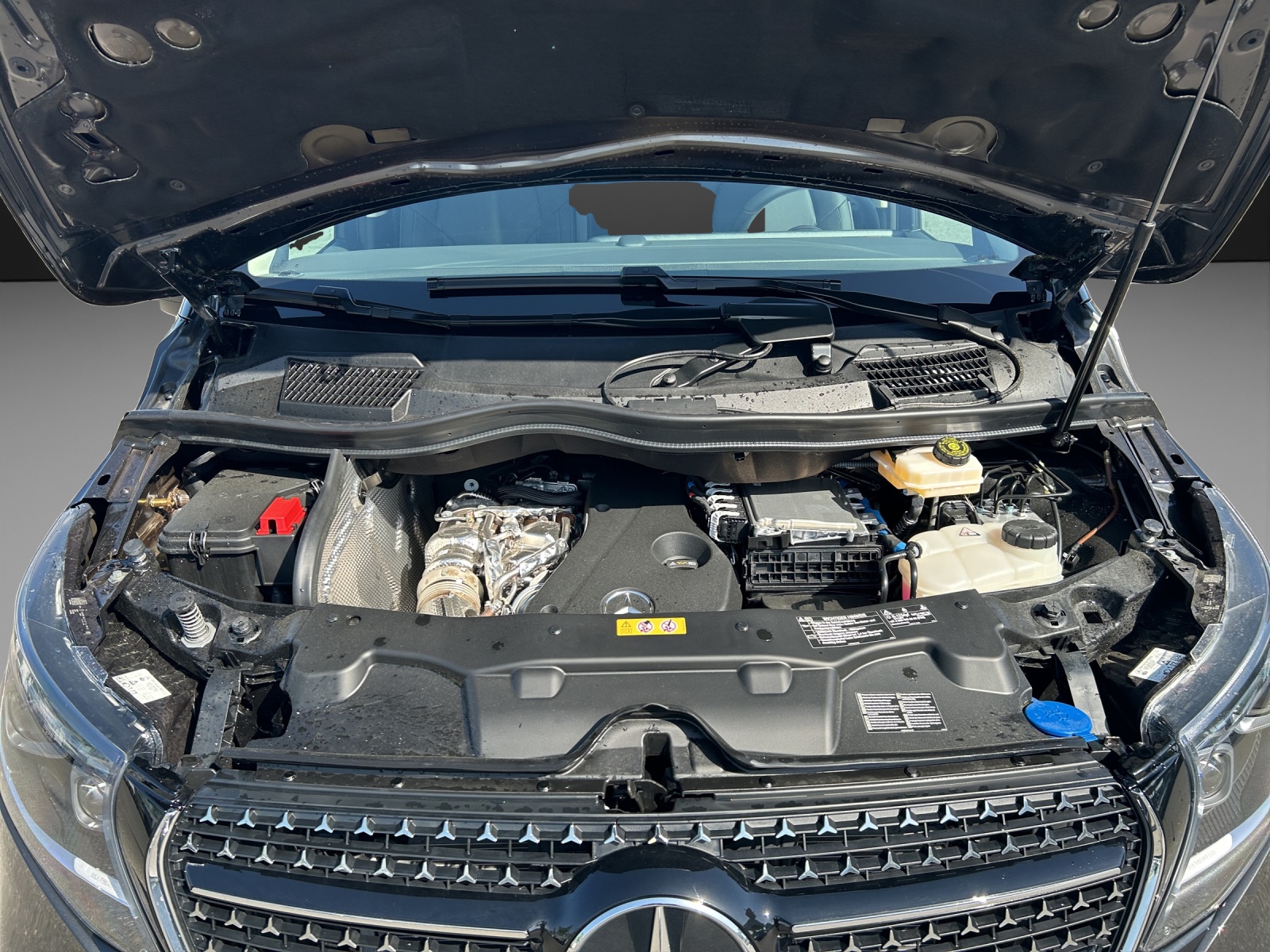 MERCEDES-BENZ Marco Polo 300 d 4M Automat-image-11