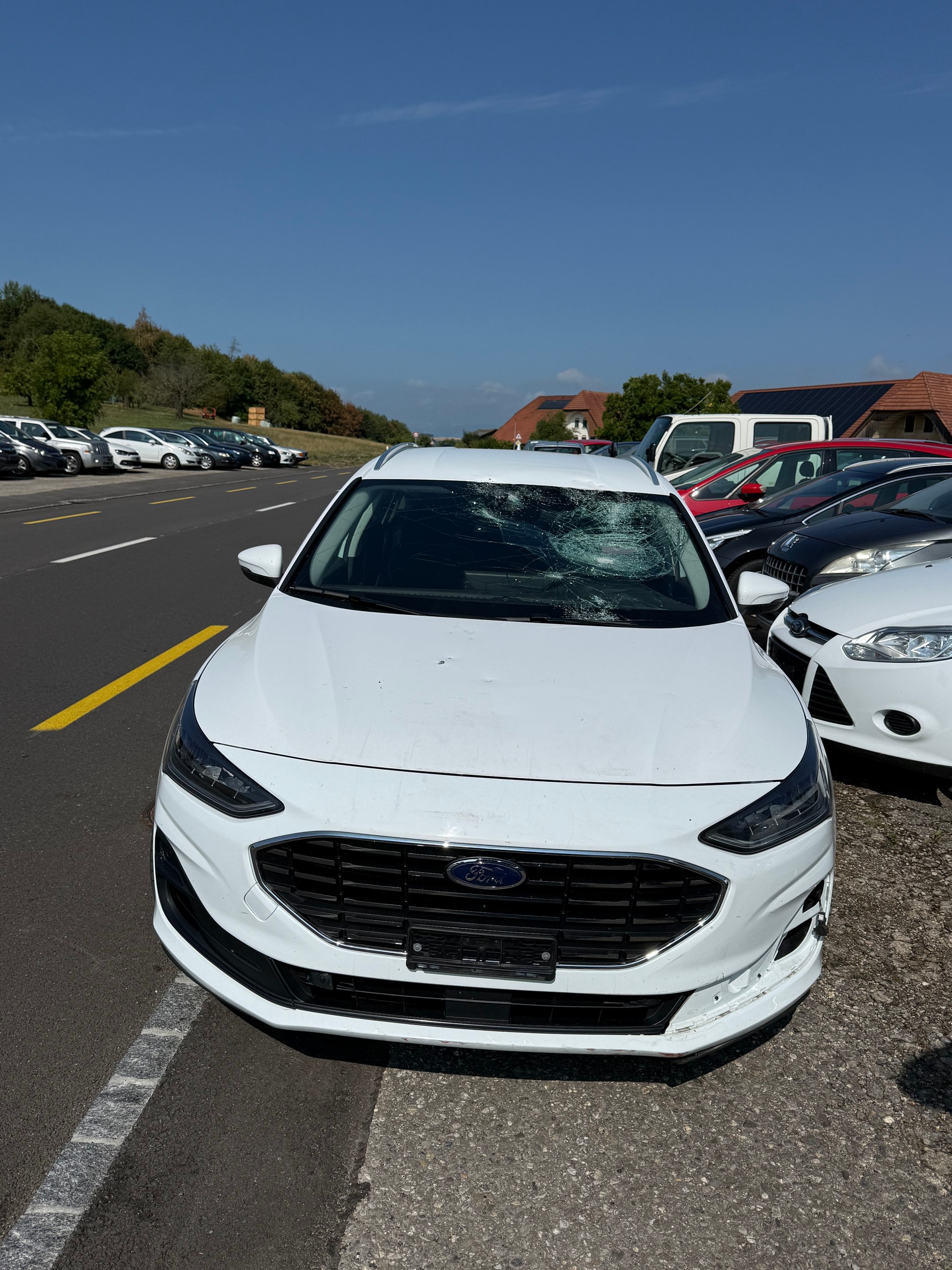 FORD Focus 1.5 TDCi Titanium Automatic-image-0