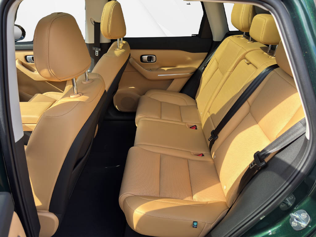 LEAPMOTOR C10 1.5 Hybrid EV-image-7