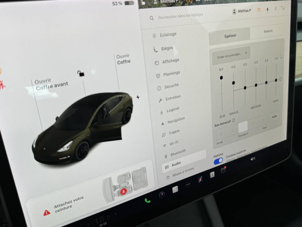 TESLA Model 3 Performance D-image-13