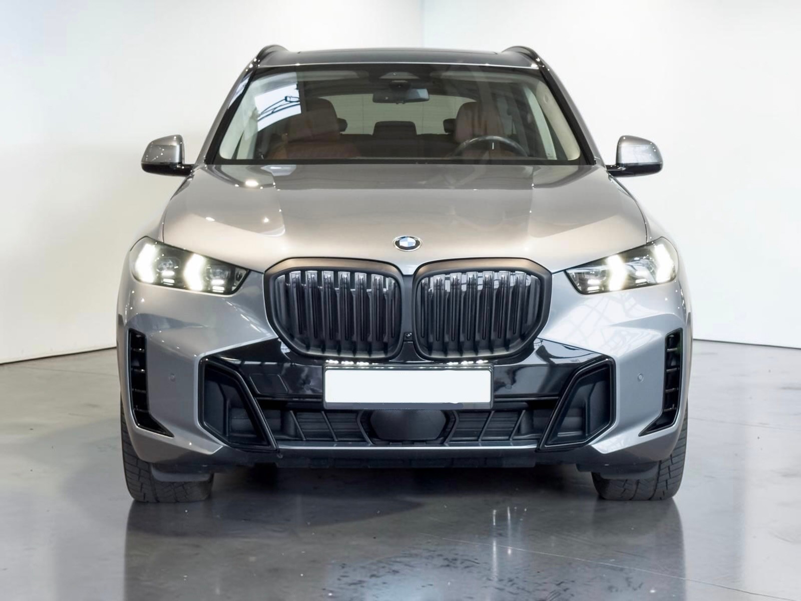BMW X5 xDrive 48V 30d M Sport Pro Steptronic-image-1