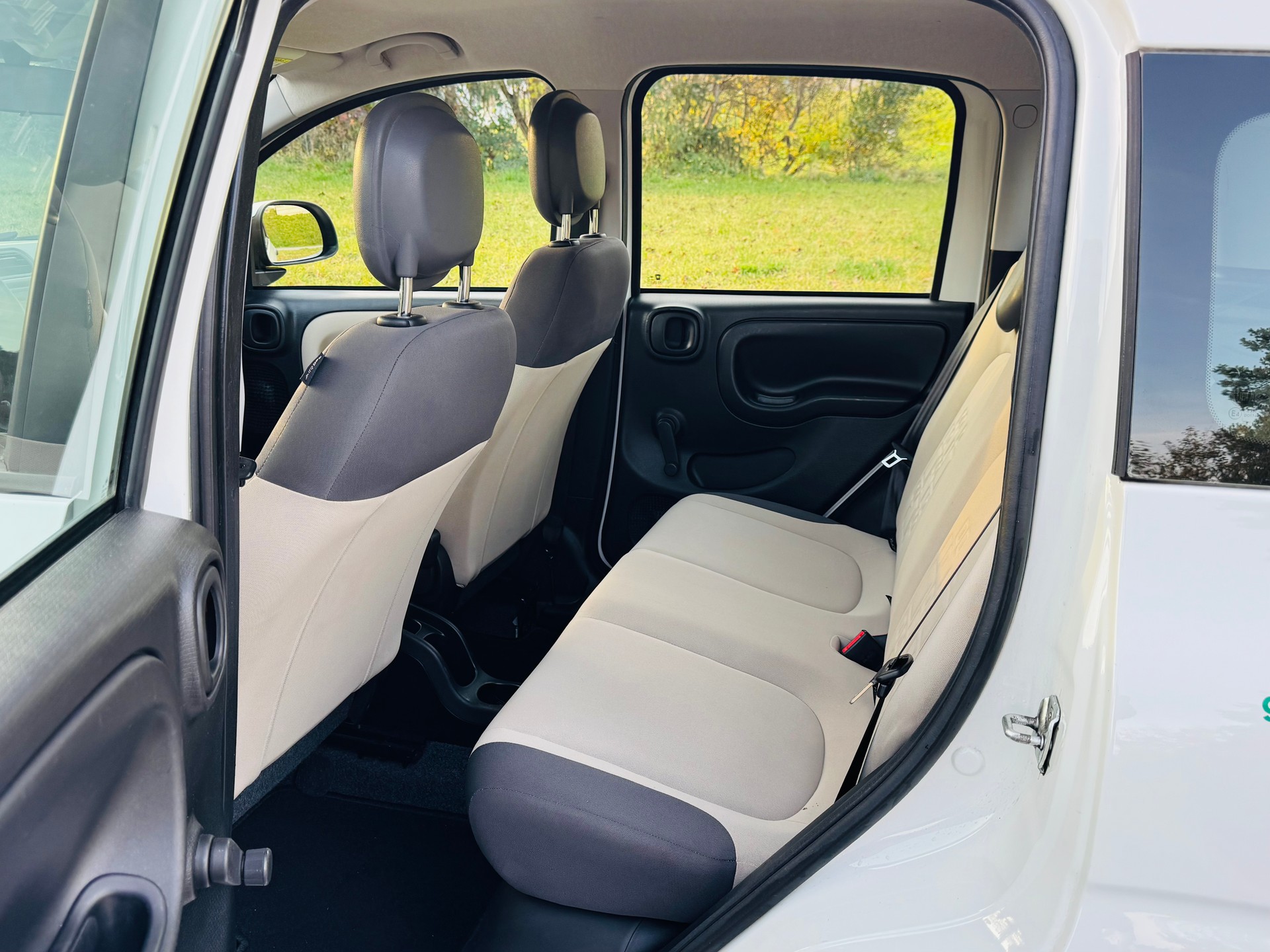 FIAT Panda 0.9 Twinair Turbo NP Easy Erdgas & Benzin-image-12