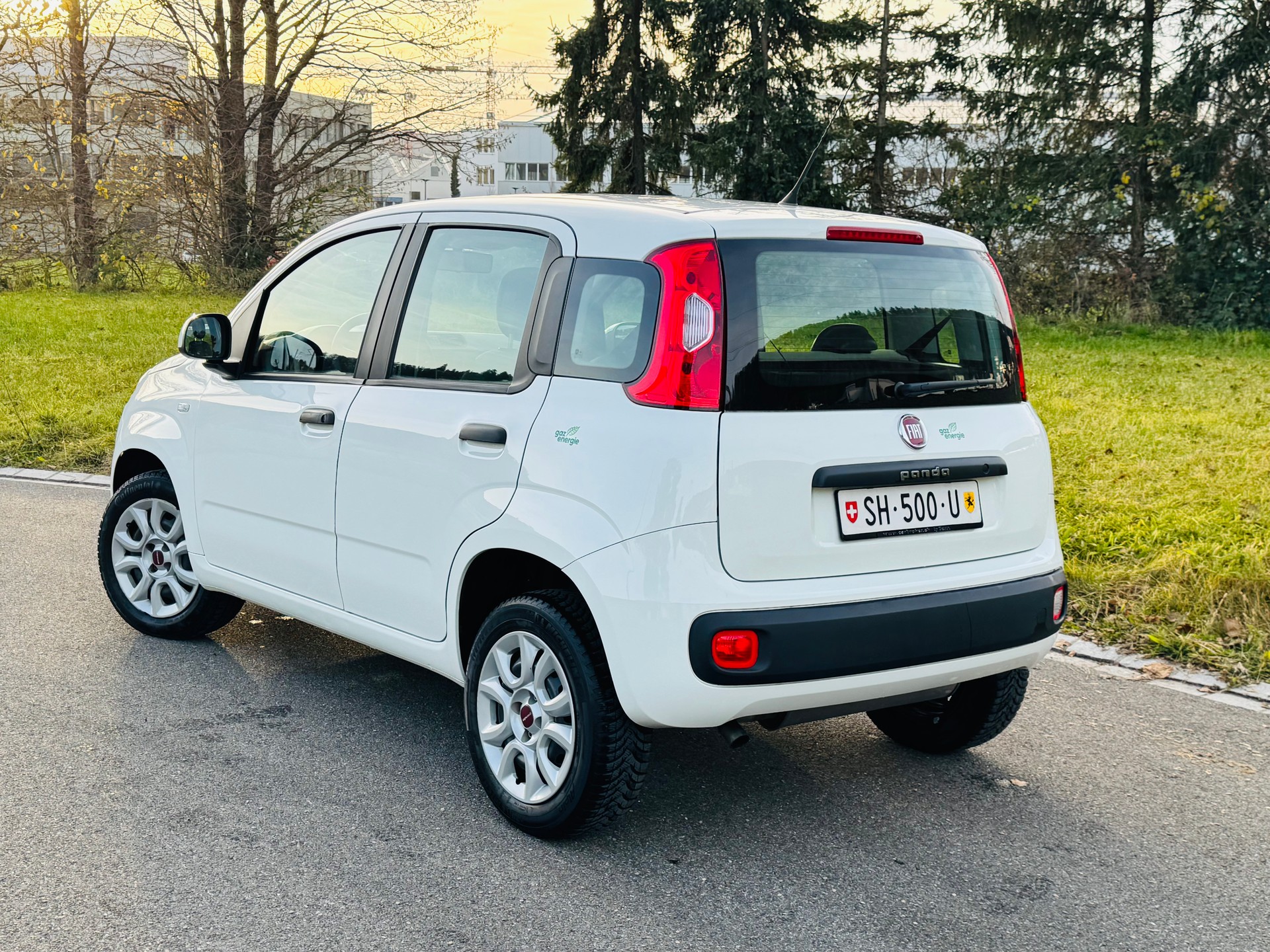 FIAT Panda 0.9 Twinair Turbo NP Easy Erdgas & Benzin-image-3
