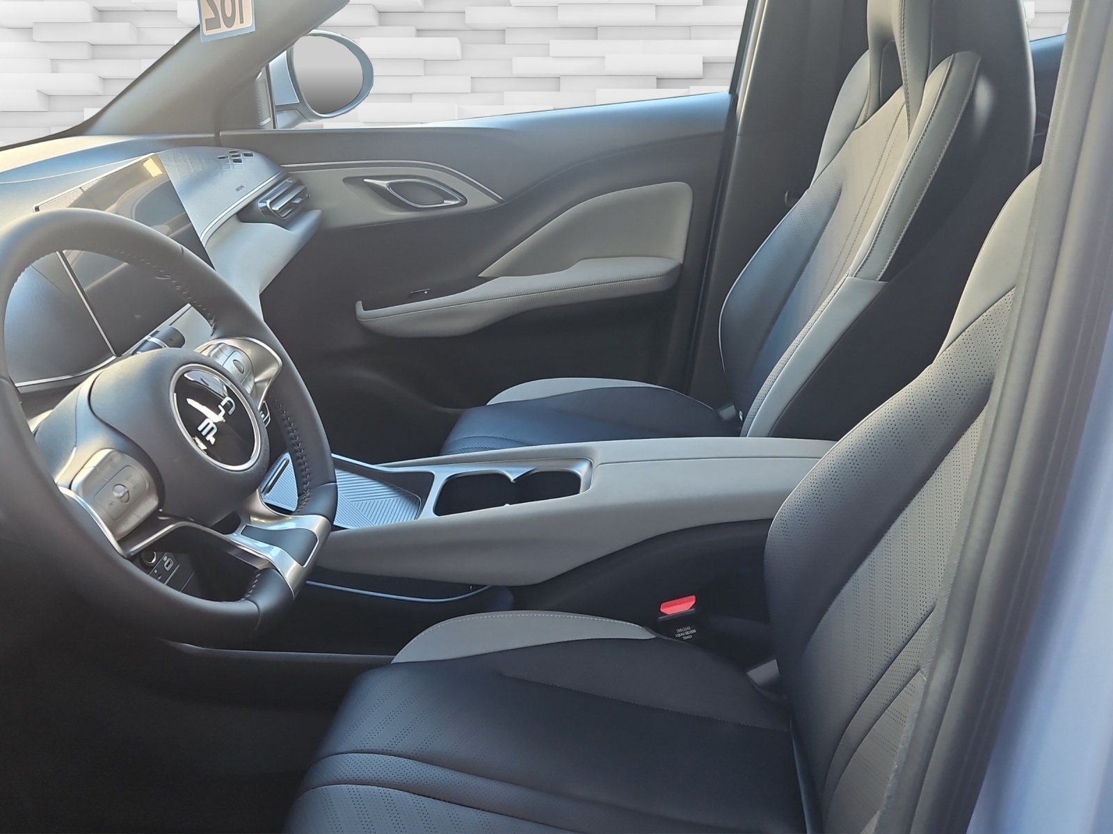 BYD Dolphin Surf 30 kWh Active-image-13