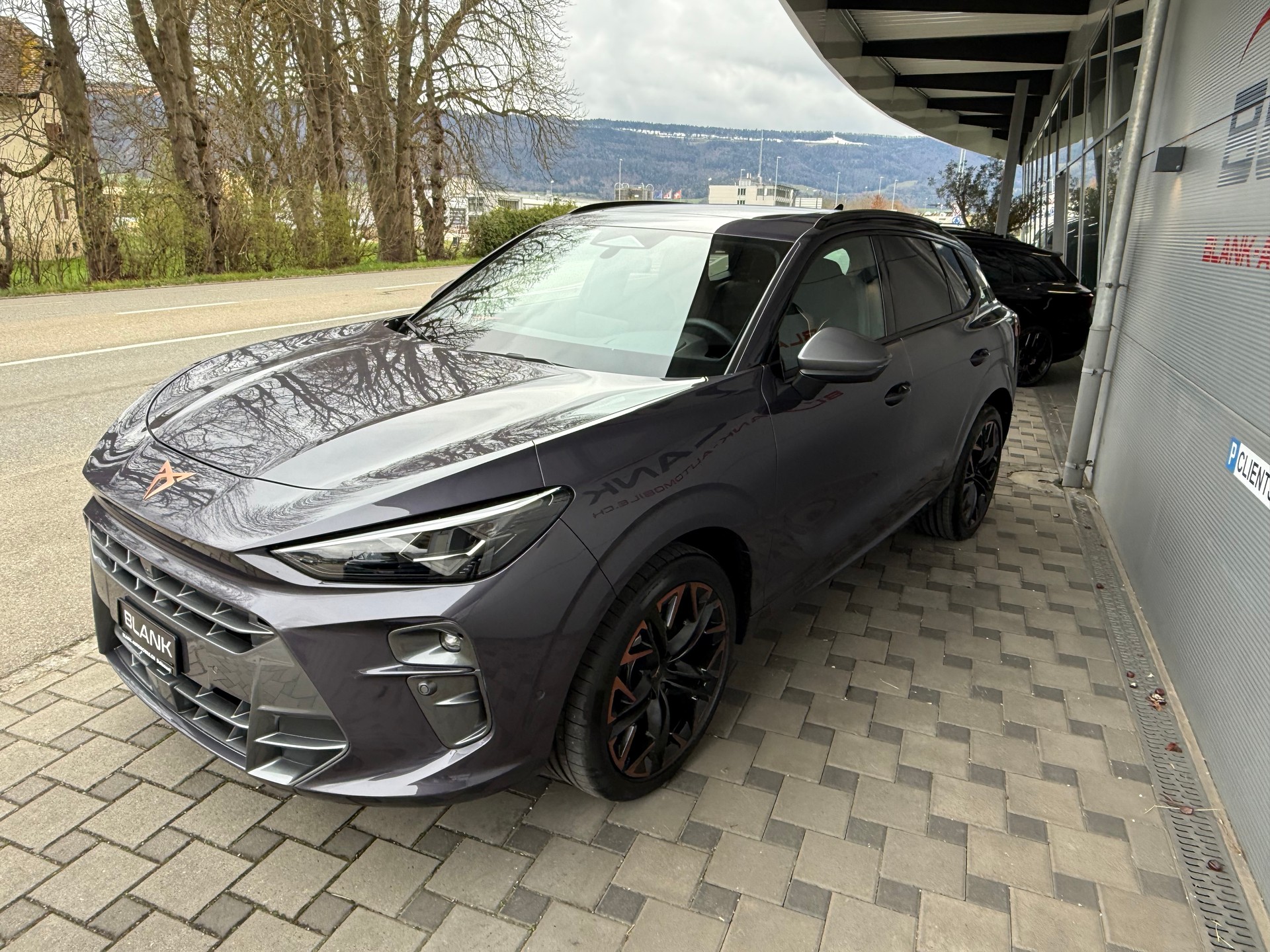 CUPRA Terramar 2.0 TSI VZ 4Drive DSG-image-2