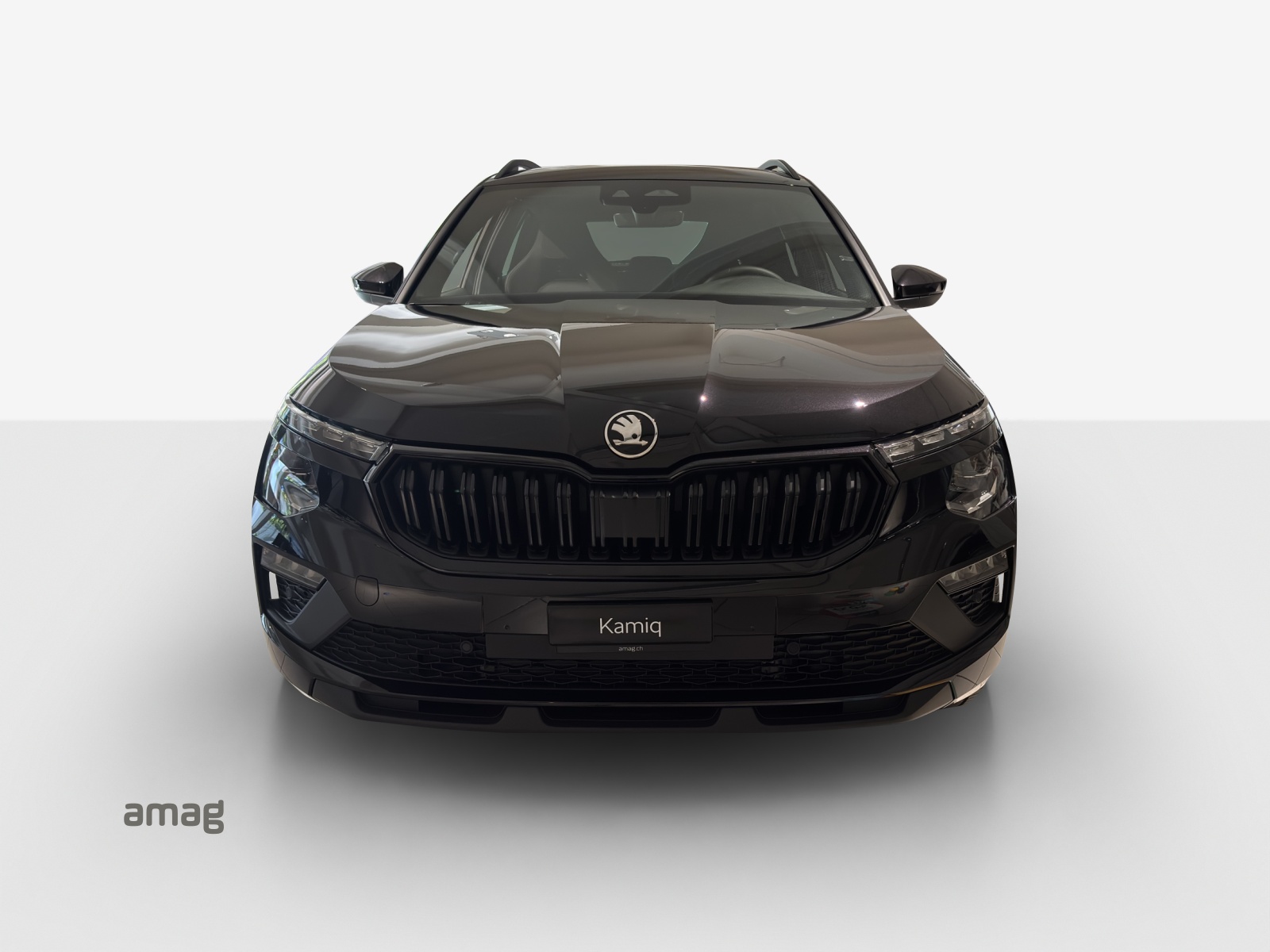 SKODA Kamiq 1.5 TSI Dynamic DSG-image-6