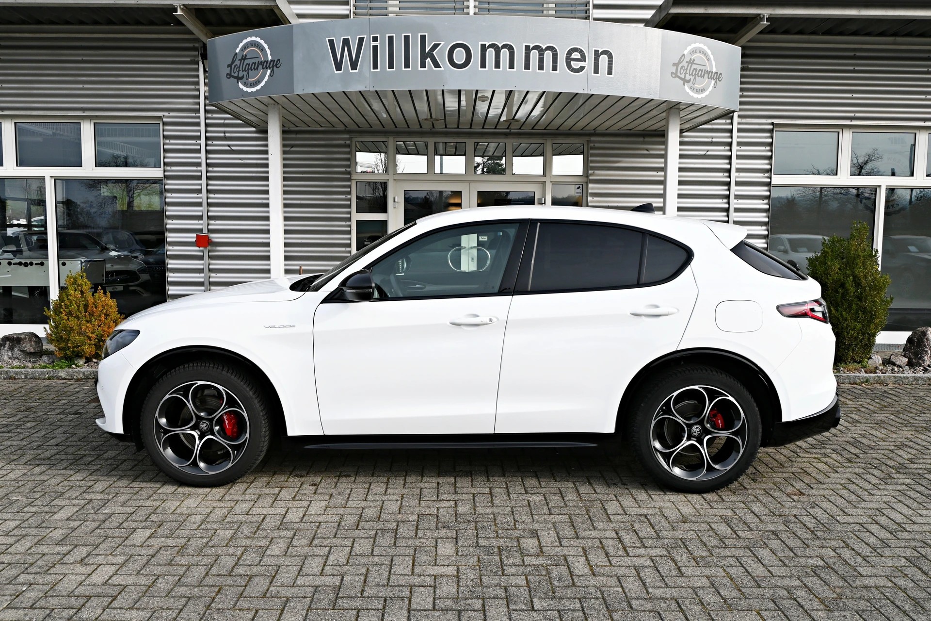 ALFA ROMEO Stelvio 2.2 JTDM Veloce Sport Black Premium Q4 AT8+ 210PS + New Modell-image-5
