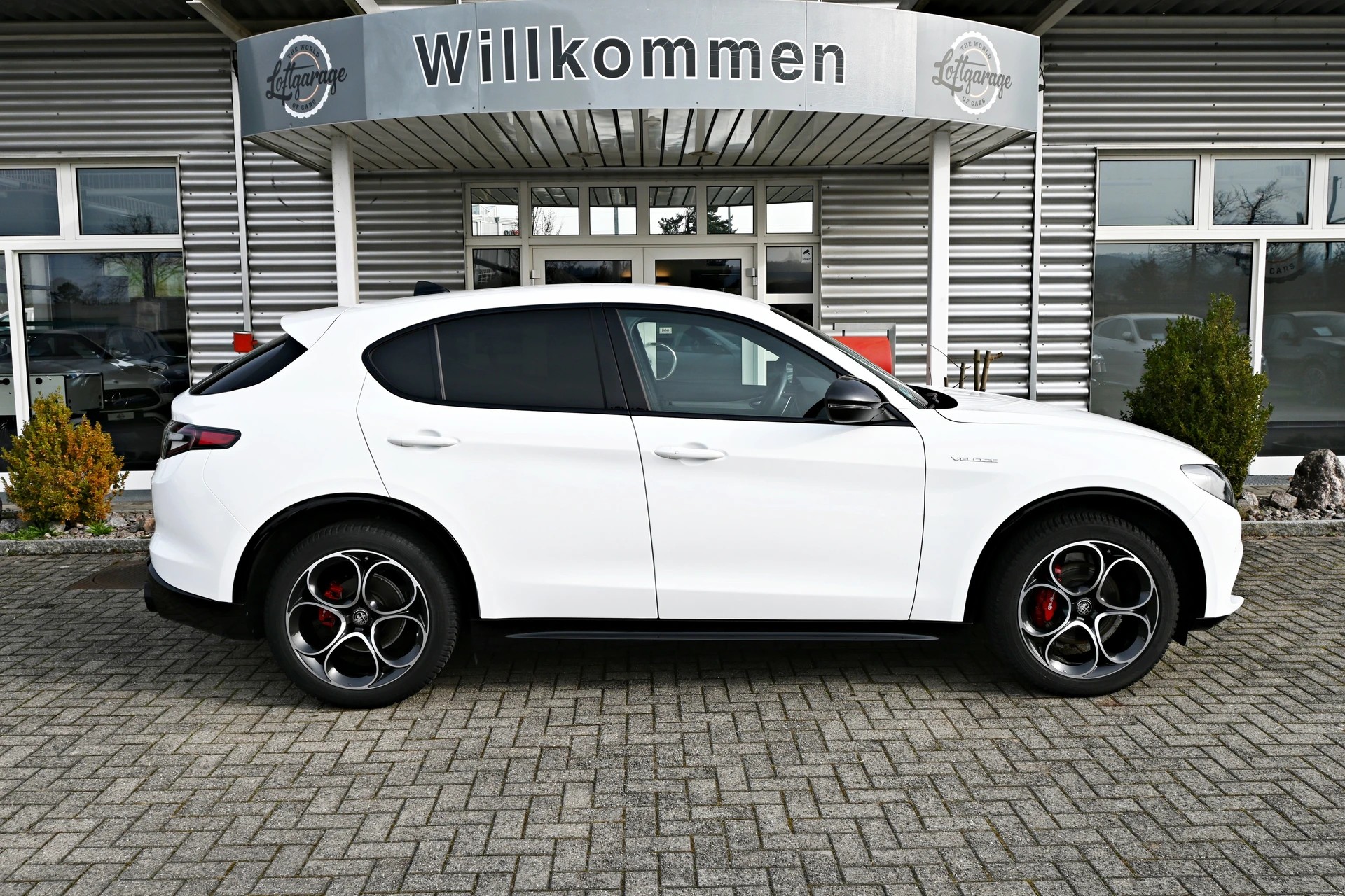 ALFA ROMEO Stelvio 2.2 JTDM Veloce Sport Black Premium Q4 AT8+ 210PS + New Modell-image-4