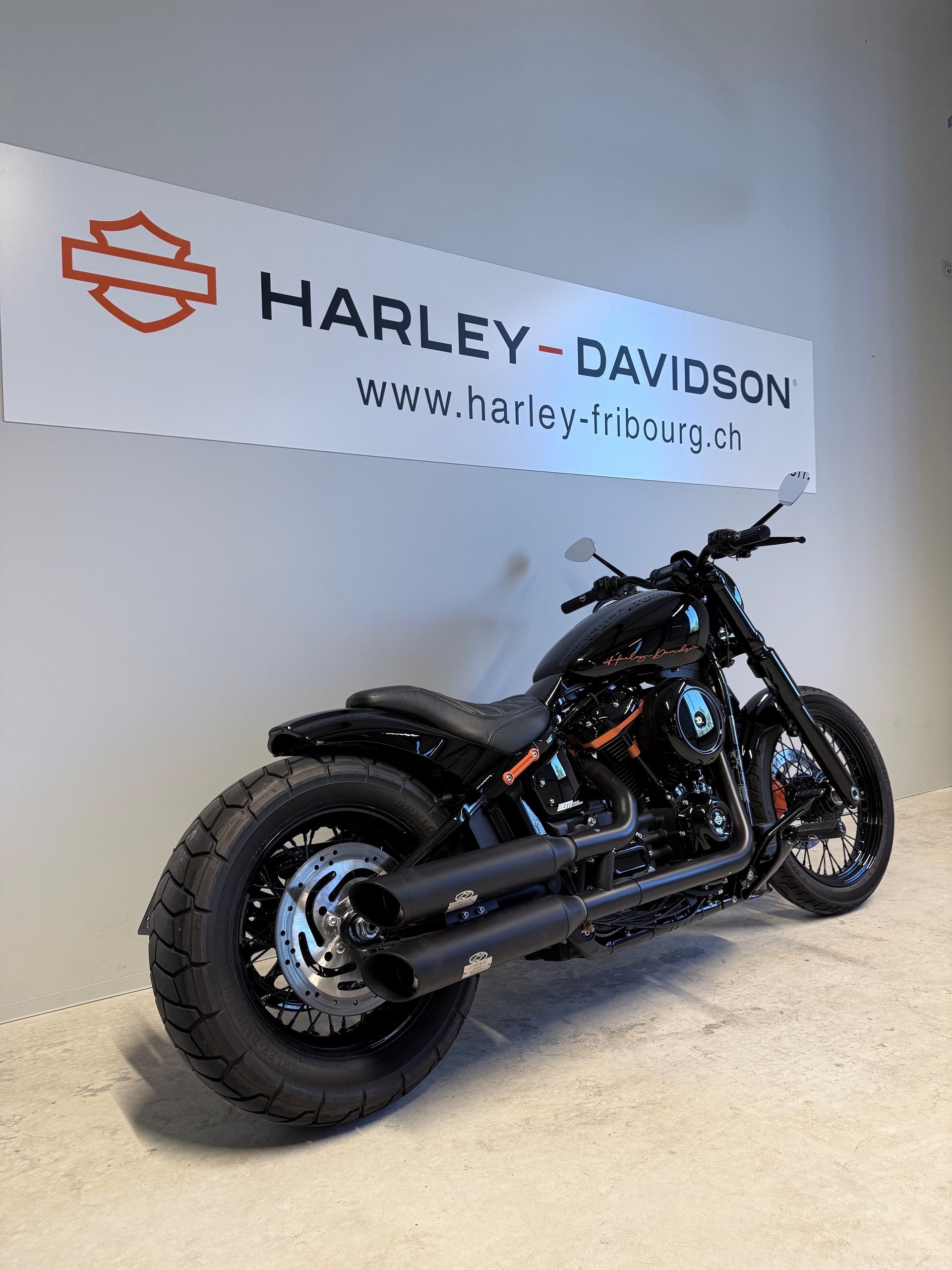 HARLEY-DAVIDSON FXST Softail Standard 107-showroom-element-3