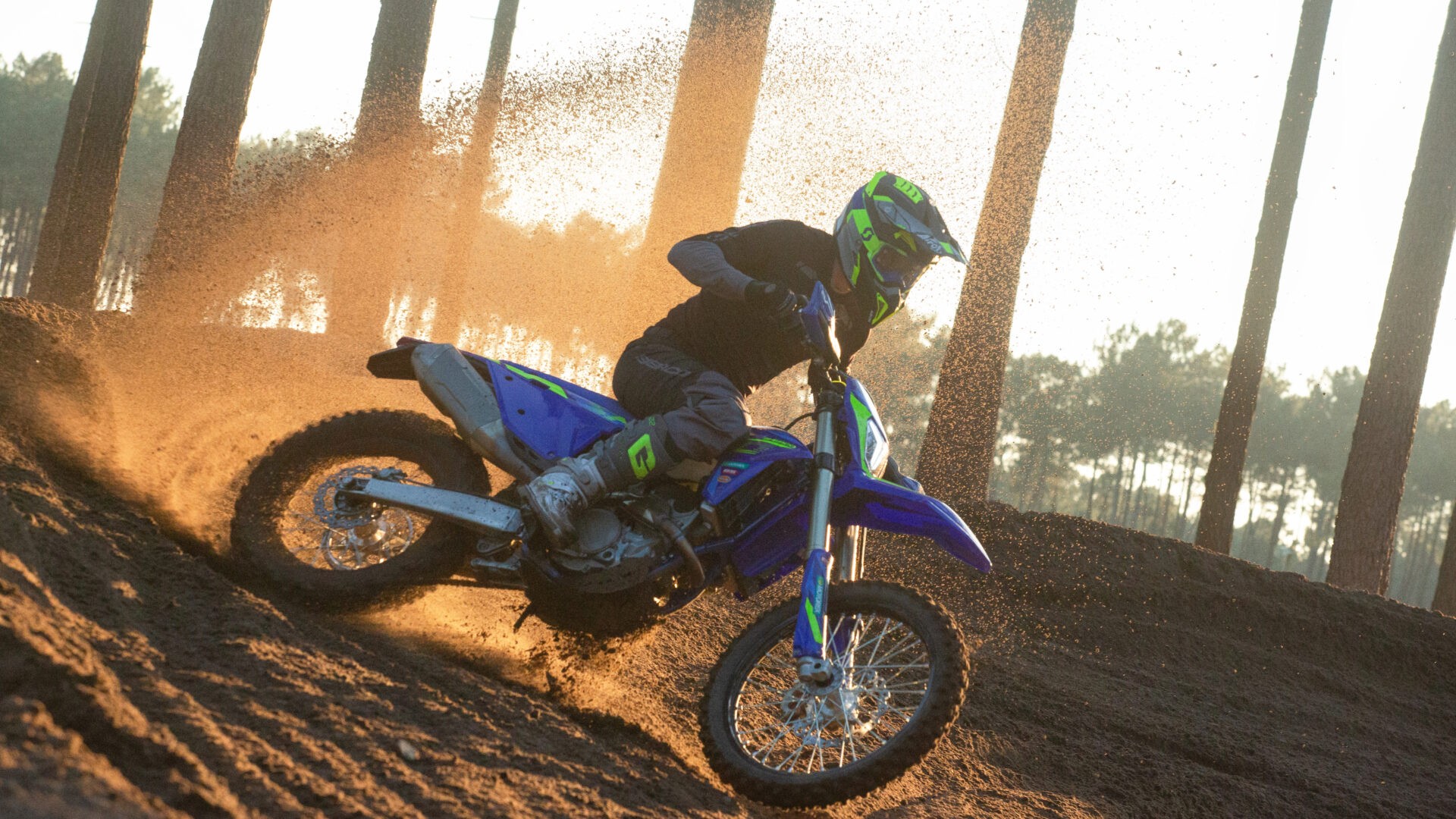 SHERCO 450 SEF Factory 2026-image-8