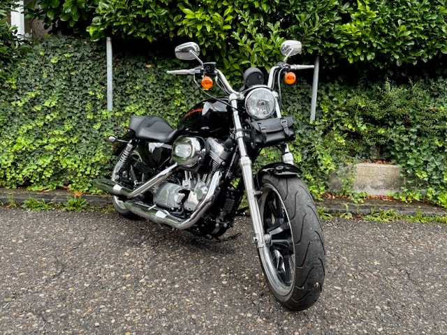 HARLEY-DAVIDSON XL 883 L Sportster Super Low-showroom-element-2