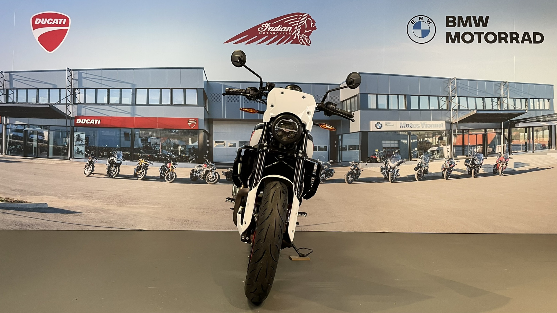 INDIAN FTR Sport-showroom-element-1