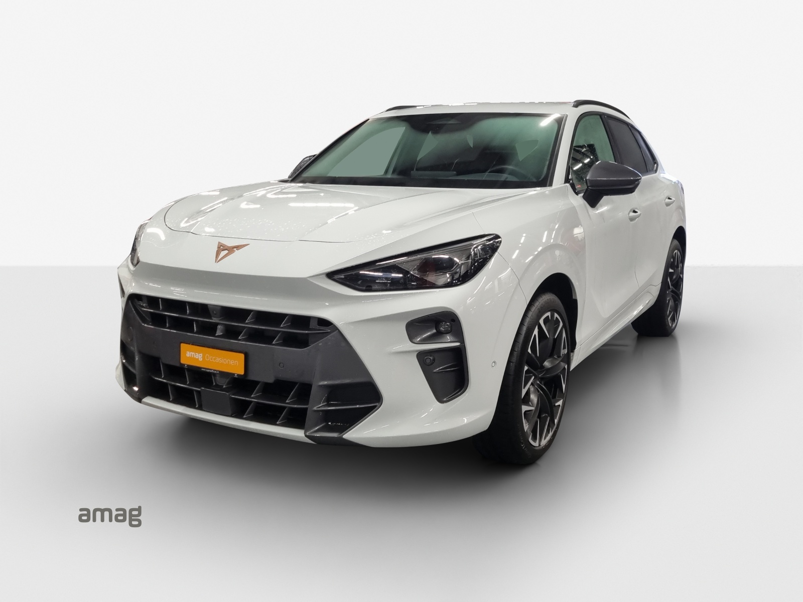 CUPRA Terramar 2.0 TSI DSG 4Drive VZ-image-0