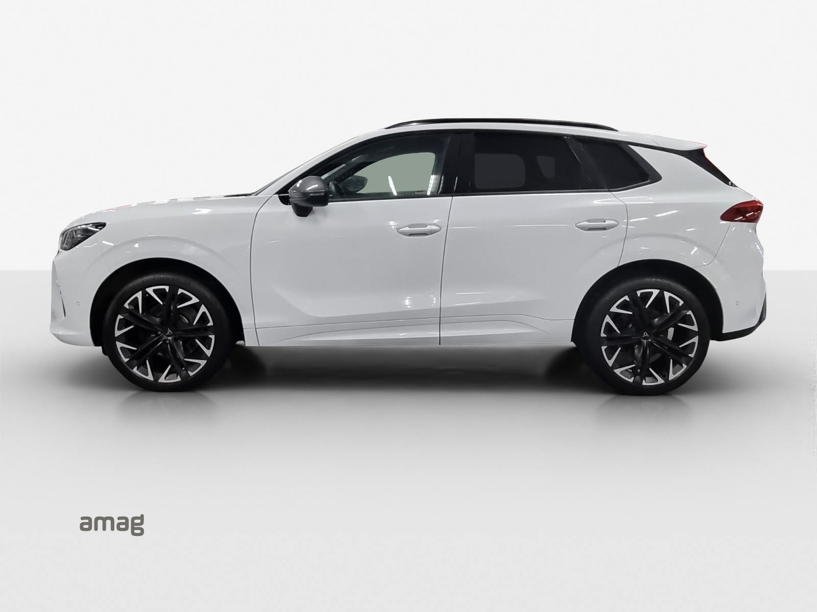 CUPRA Terramar 2.0 TSI DSG 4Drive VZ-image-1