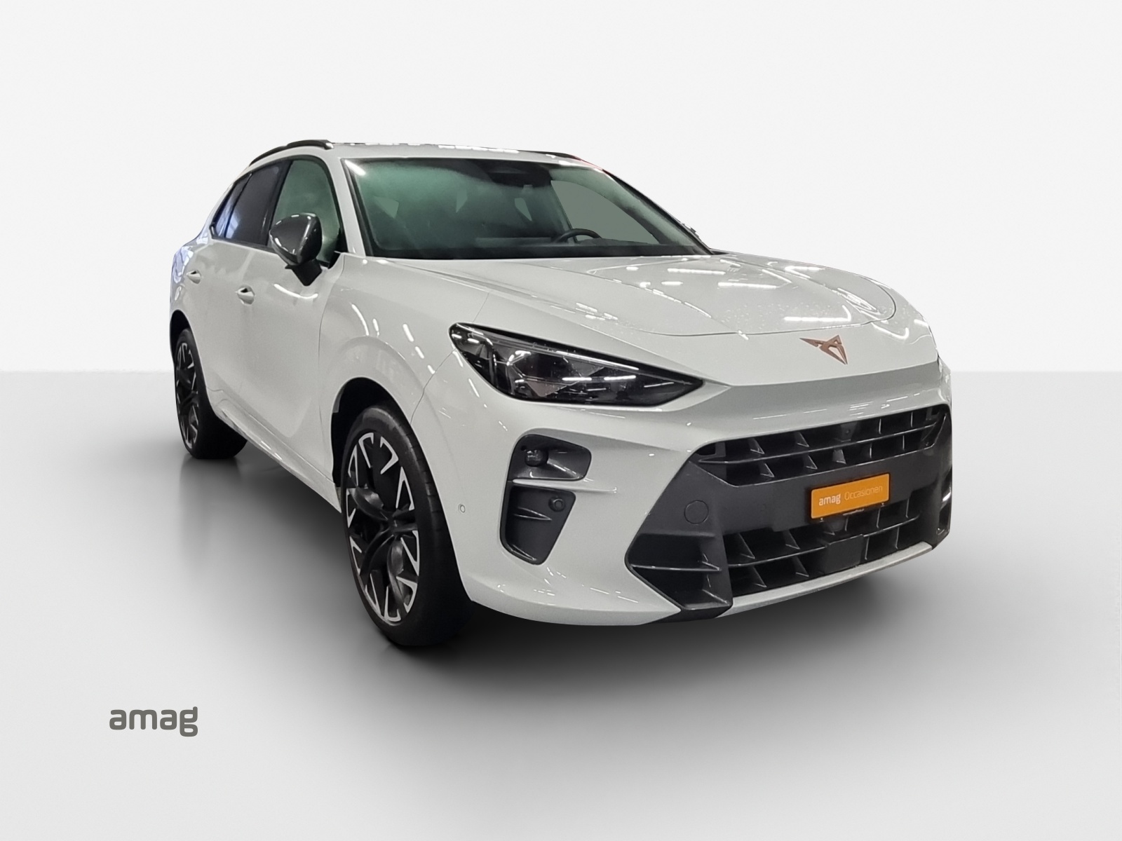 CUPRA Terramar 2.0 TSI DSG 4Drive VZ-image-5