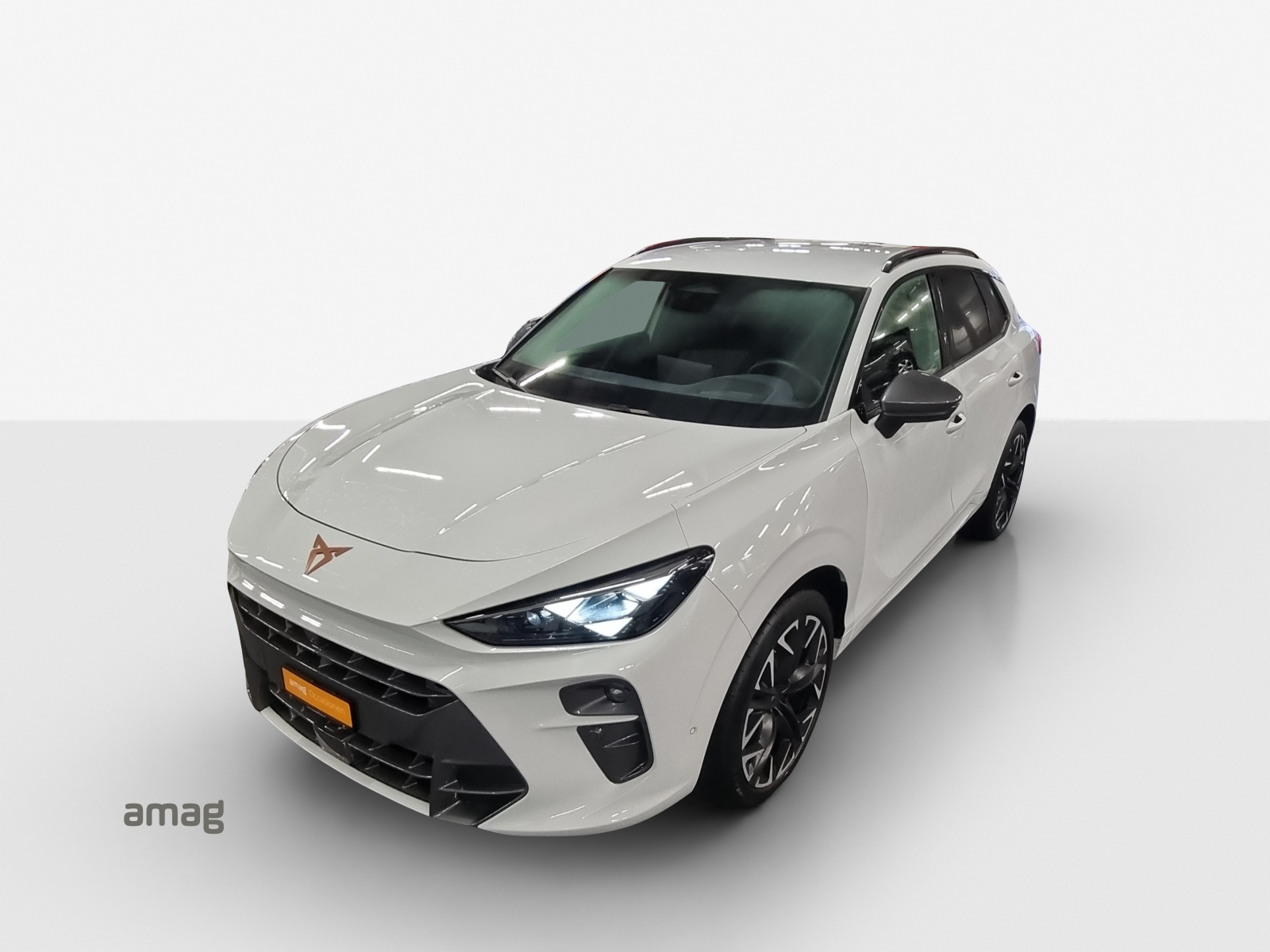 CUPRA Terramar 2.0 TSI DSG 4Drive VZ-image-14