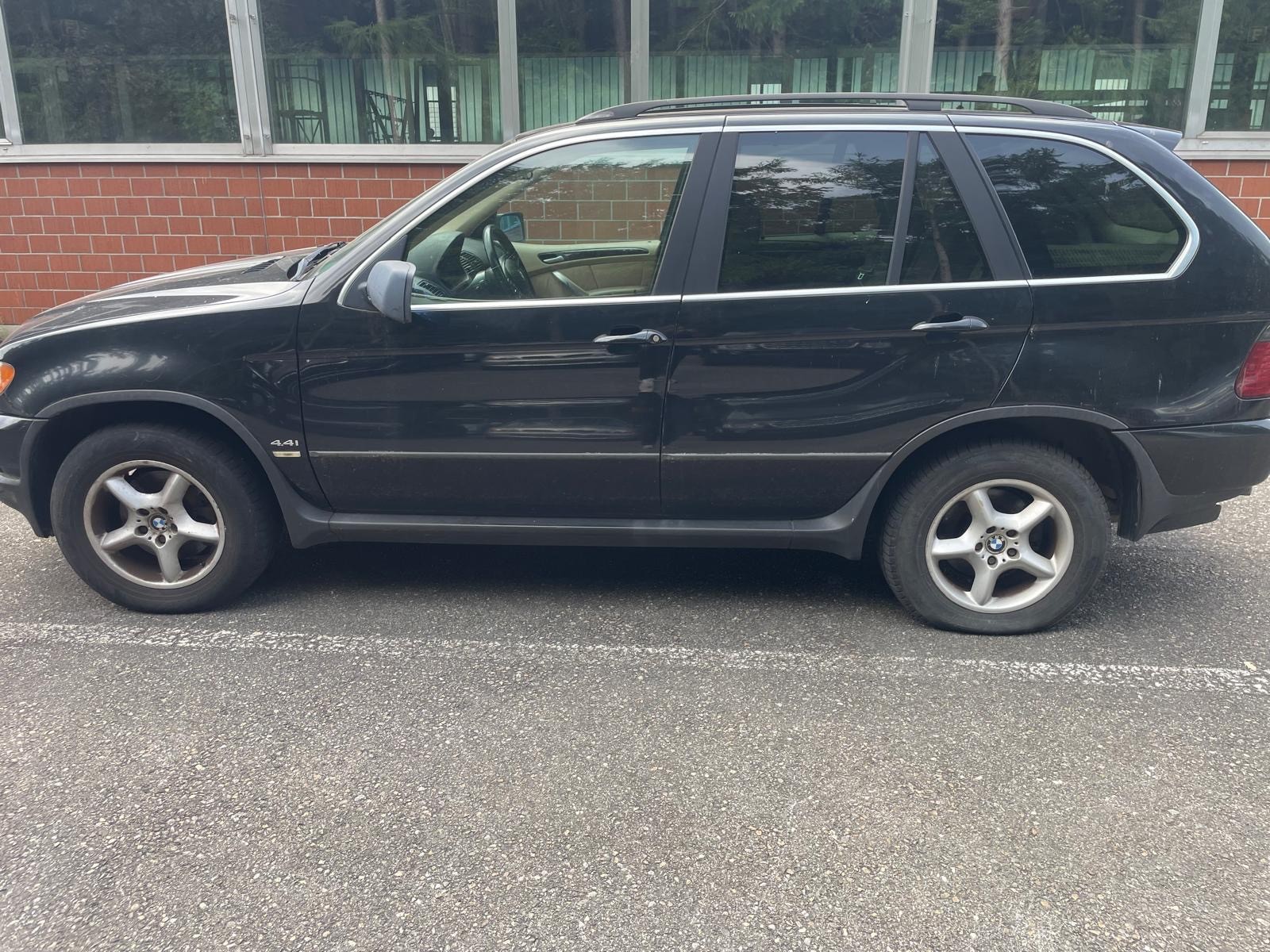 BMW X5 4.4i-image-10